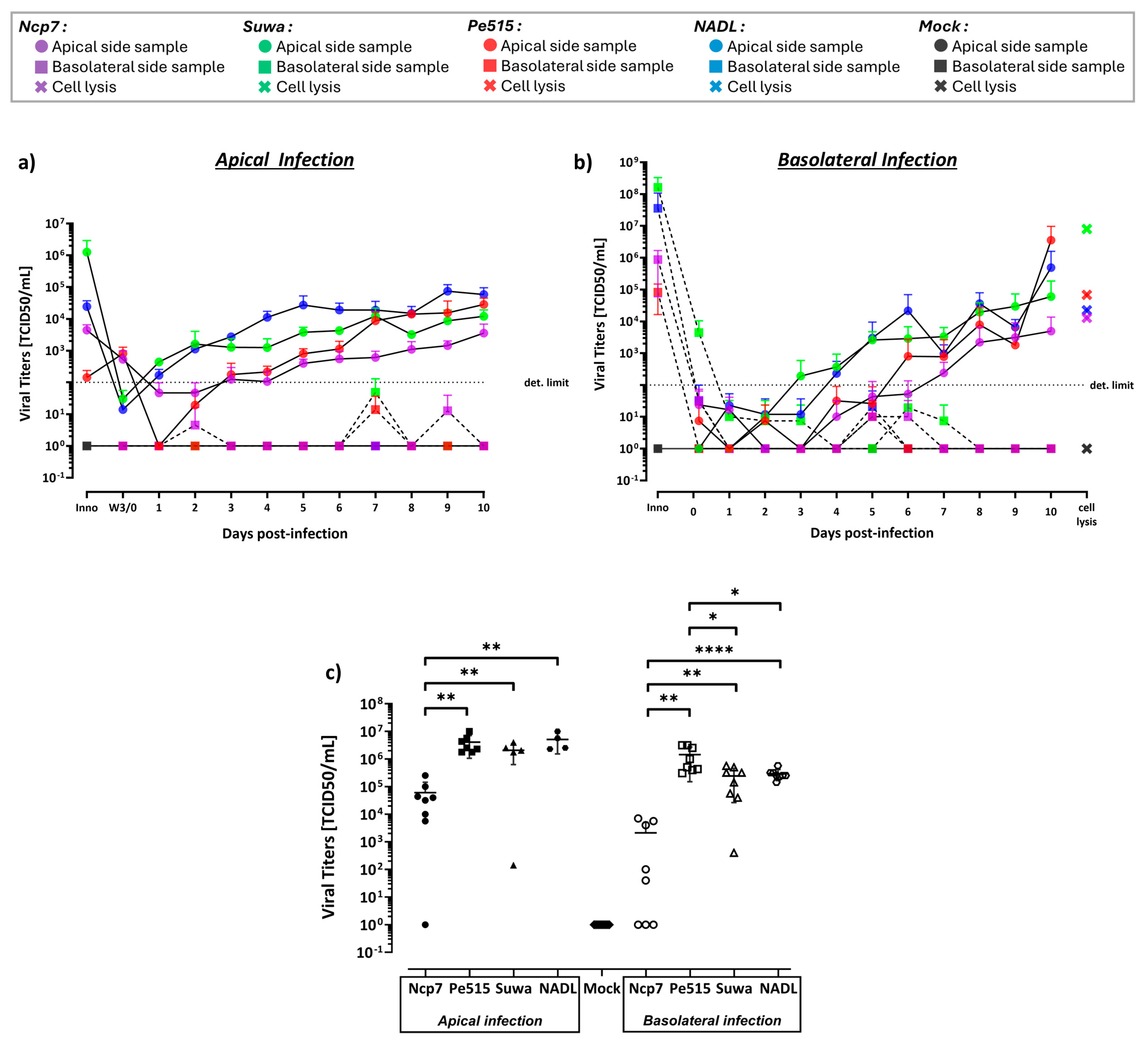 Viruses 16 01908 g005