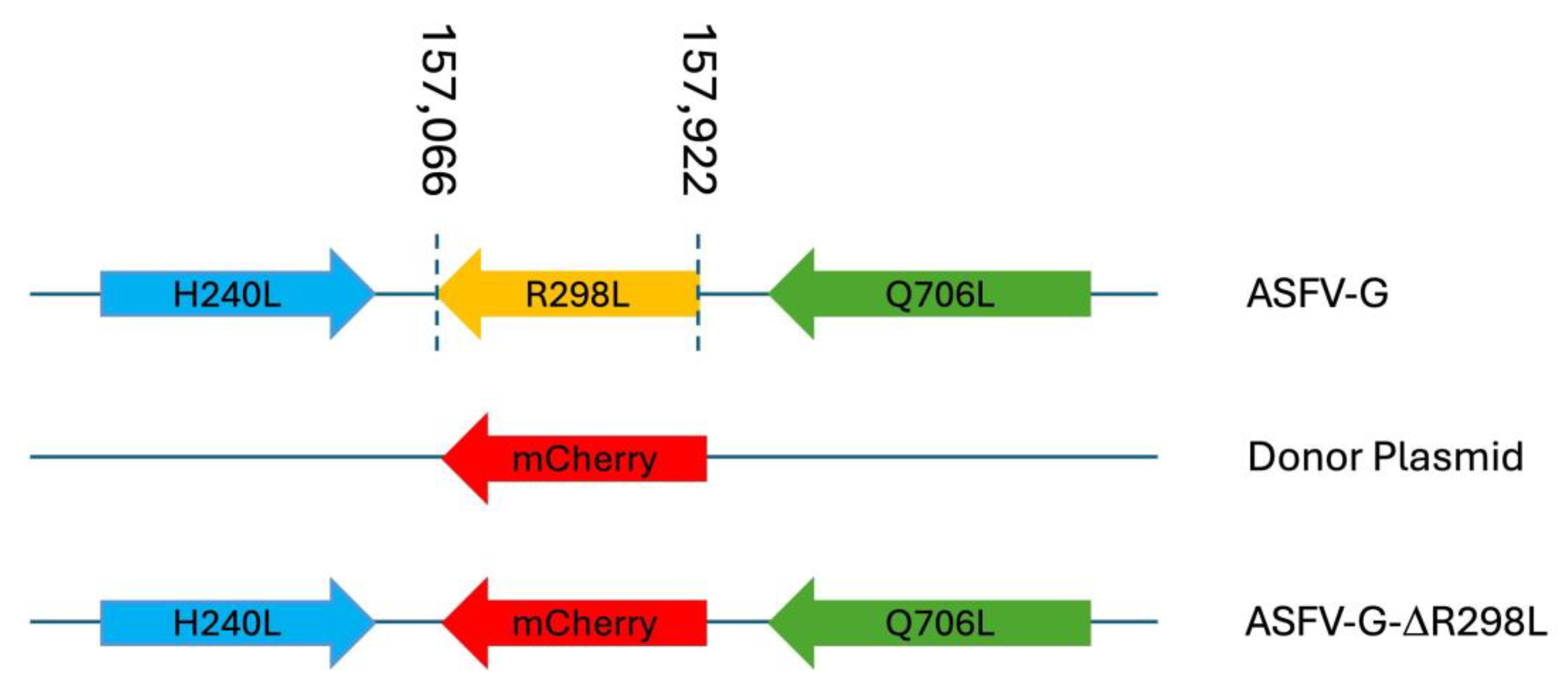 Viruses 16 01911 g007