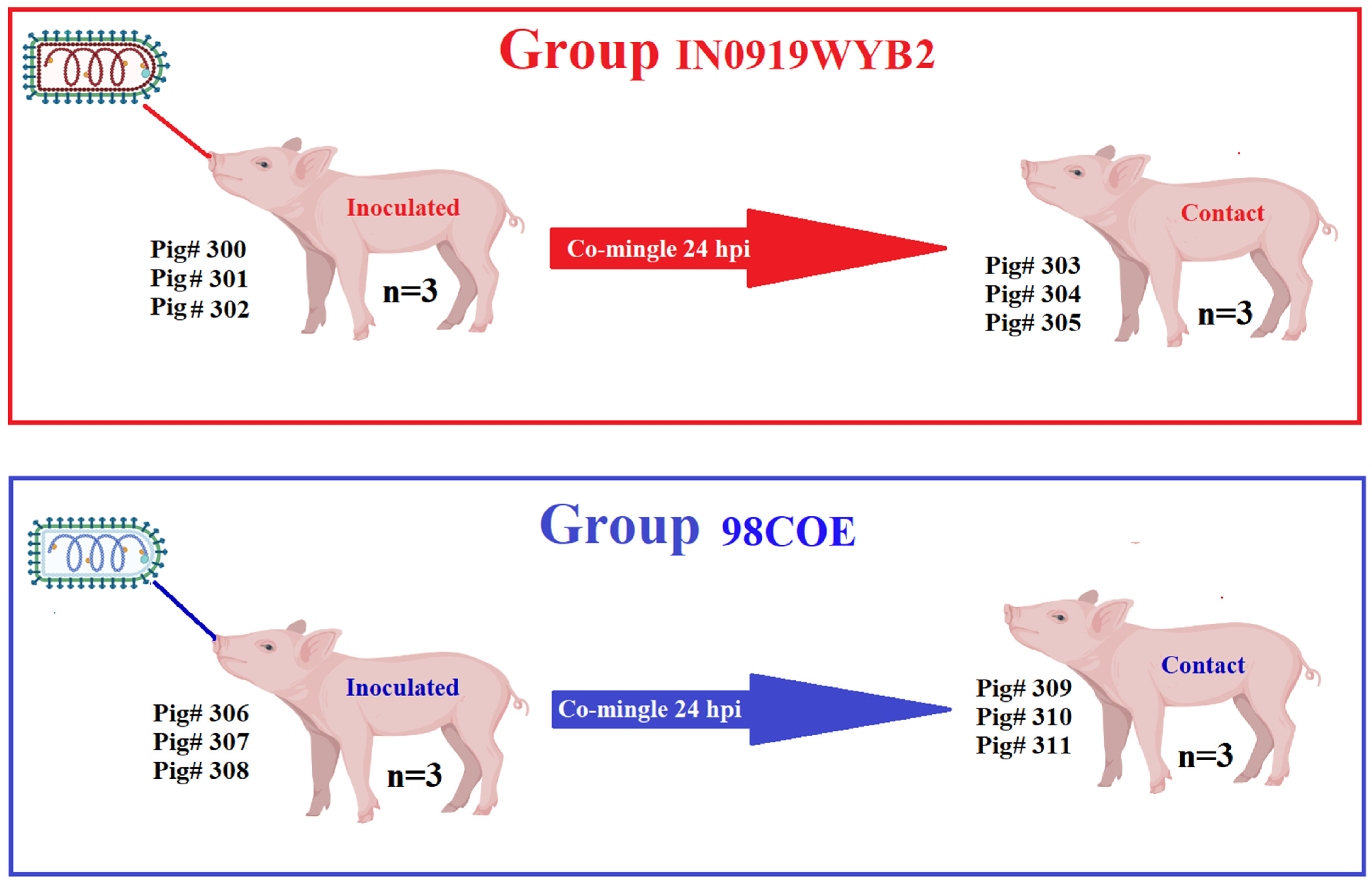 Viruses 16 01915 g002