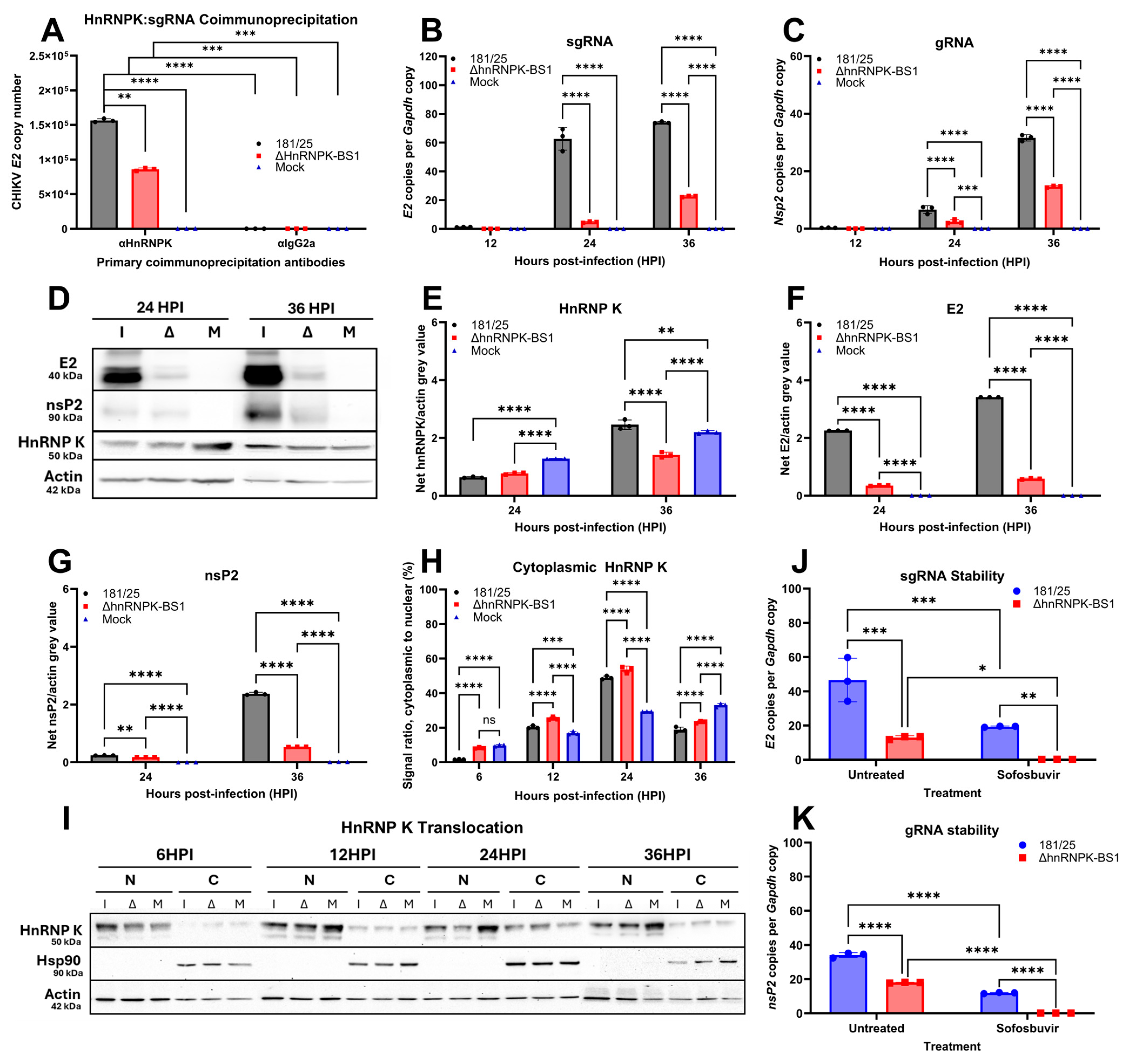 Viruses 16 01918 g003 Viruses 16 01918 g003