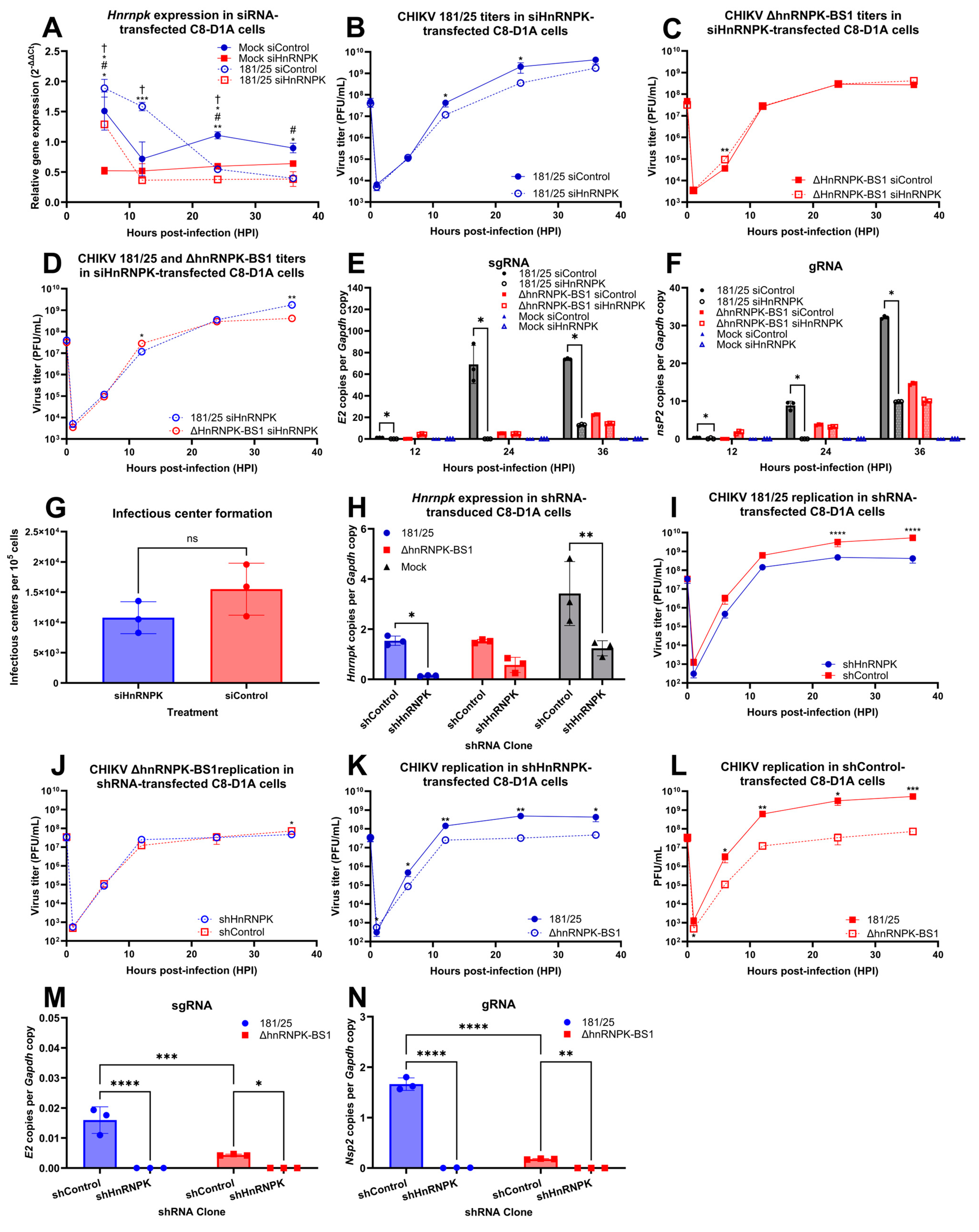 Viruses 16 01918 g004 Viruses 16 01918 g004