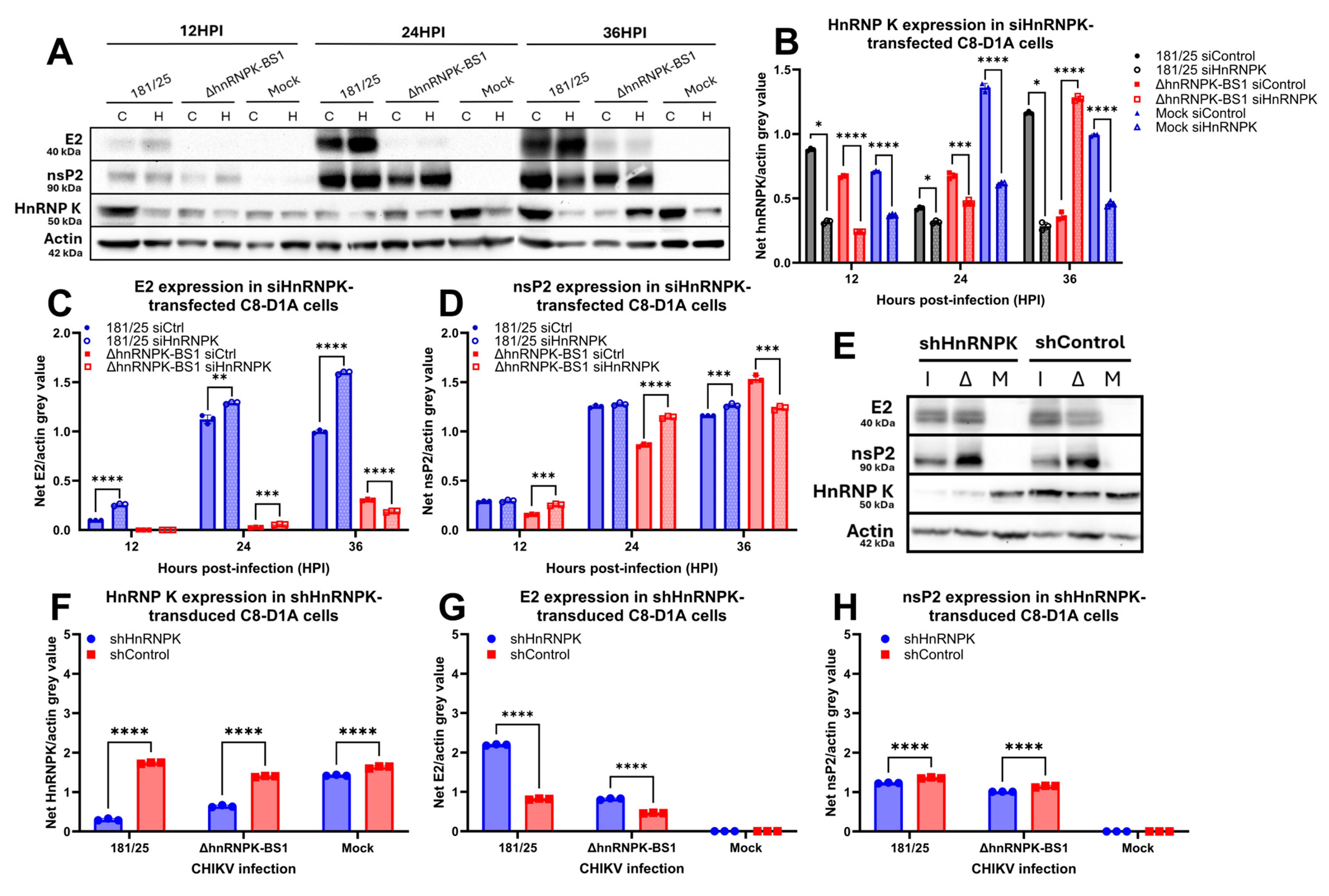 Viruses 16 01918 g005 Viruses 16 01918 g005
