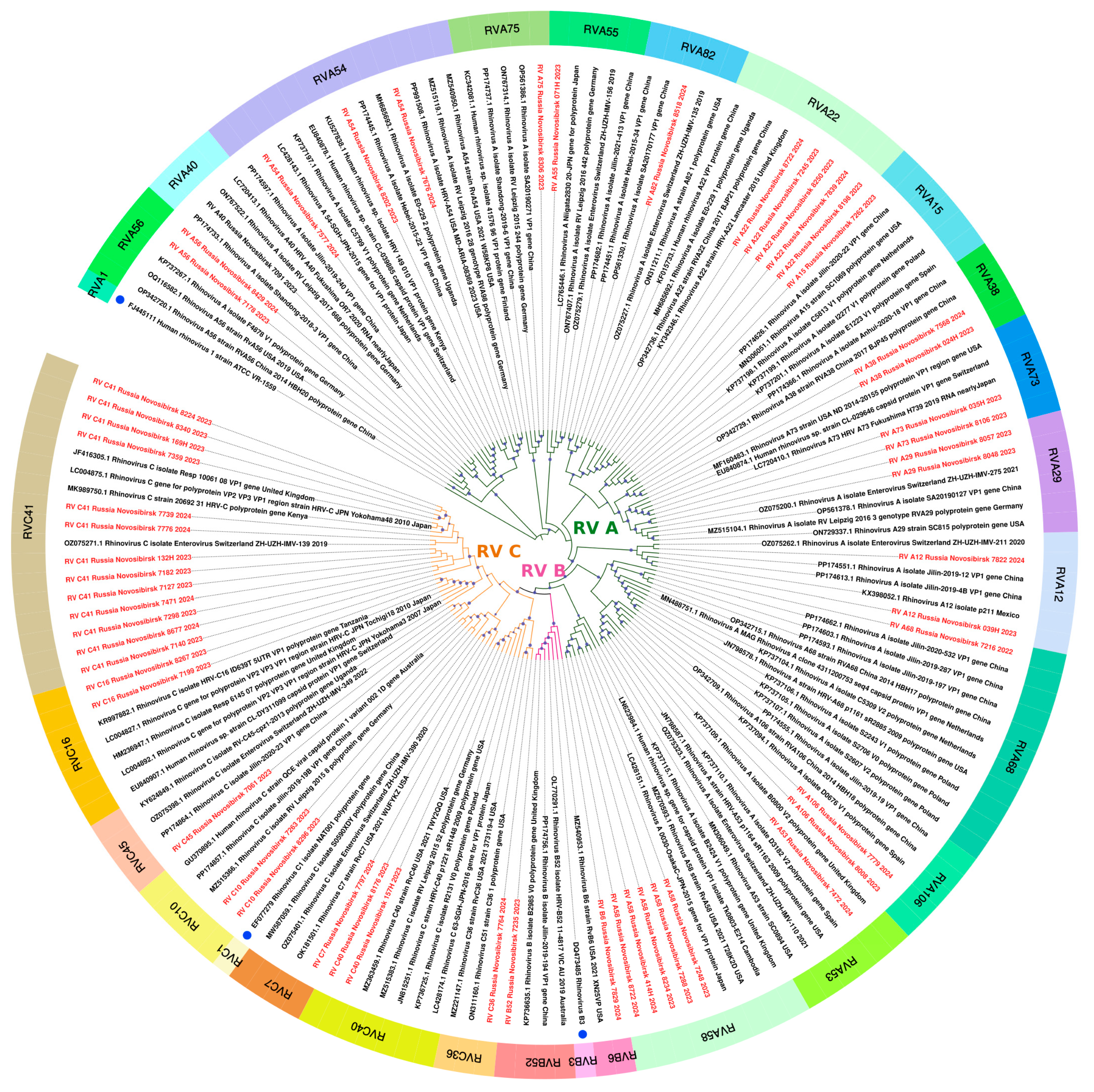 Viruses 16 01924 g007
