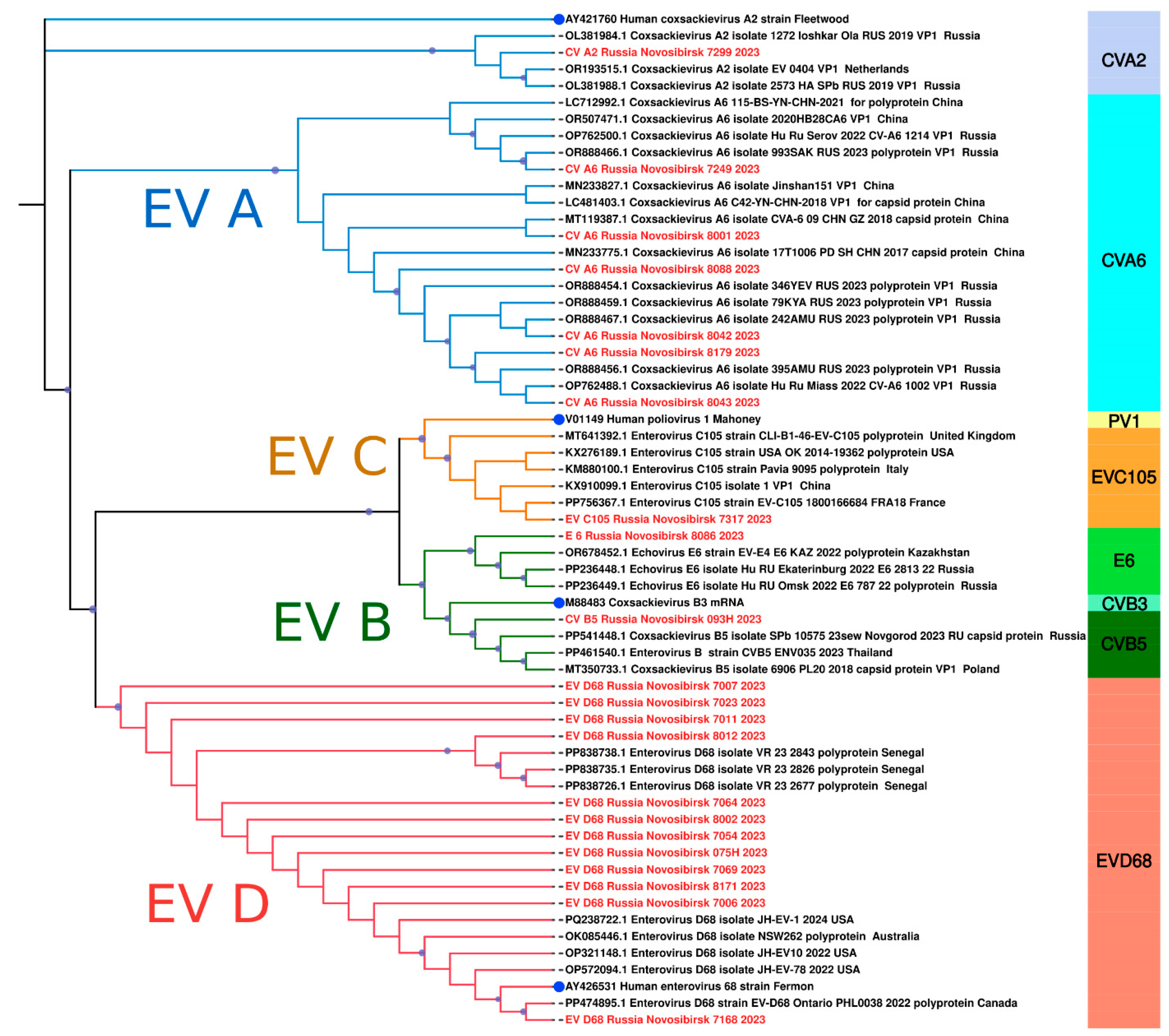 Viruses 16 01924 g008