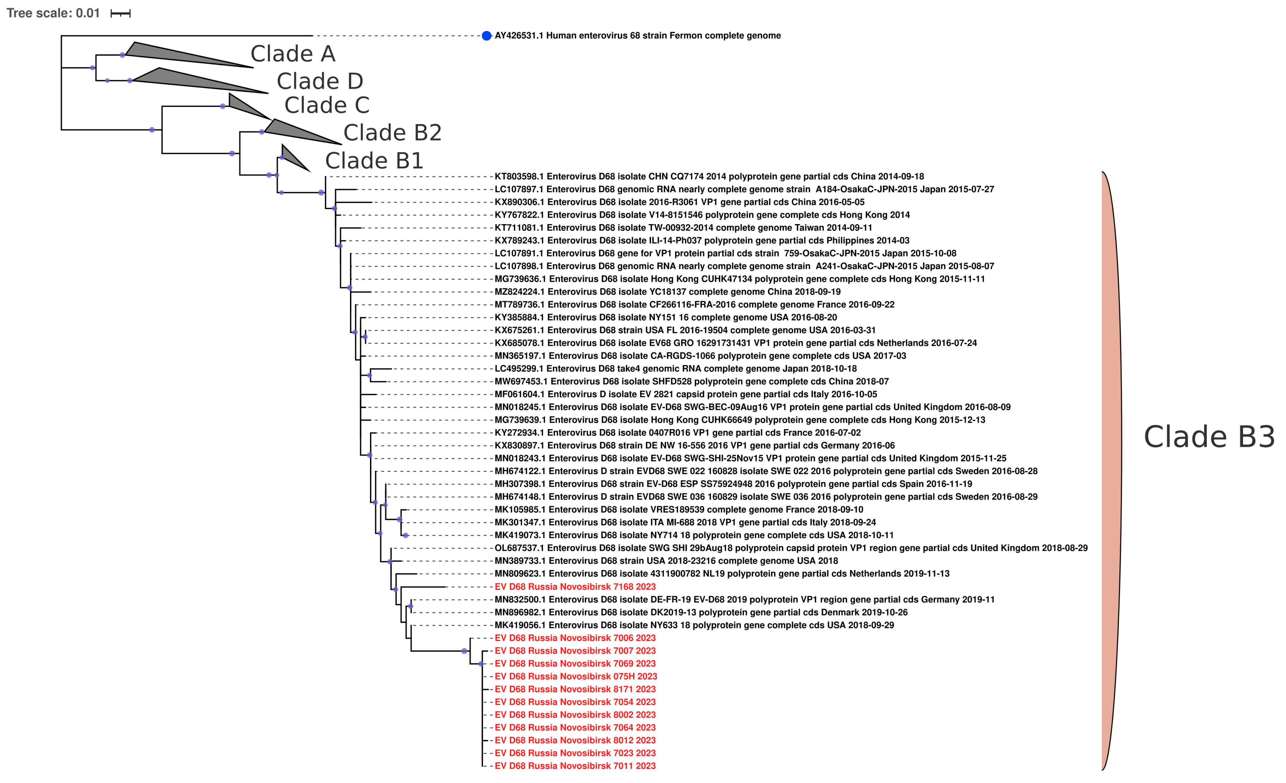 Viruses 16 01924 g009