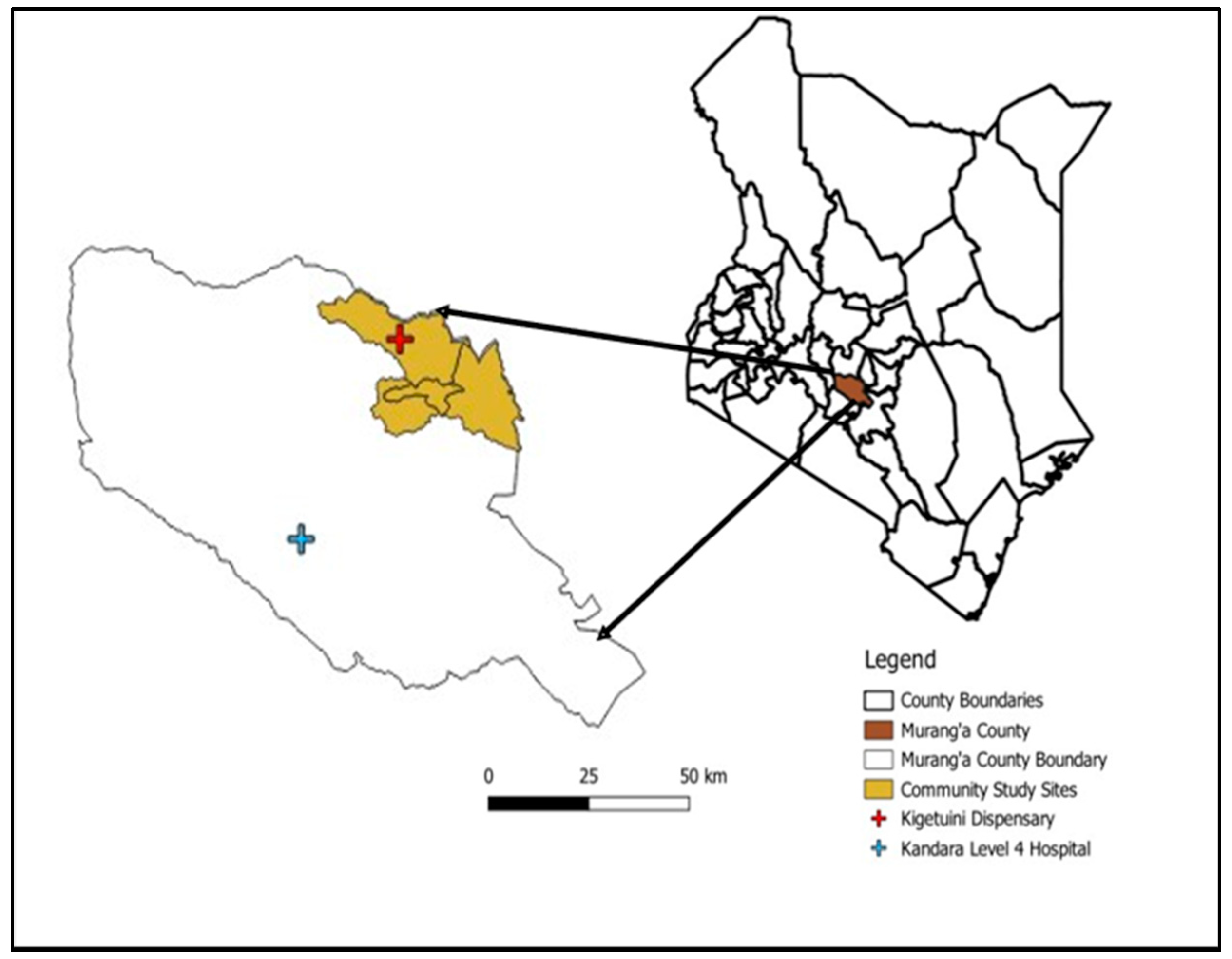 Viruses 16 01927 g001