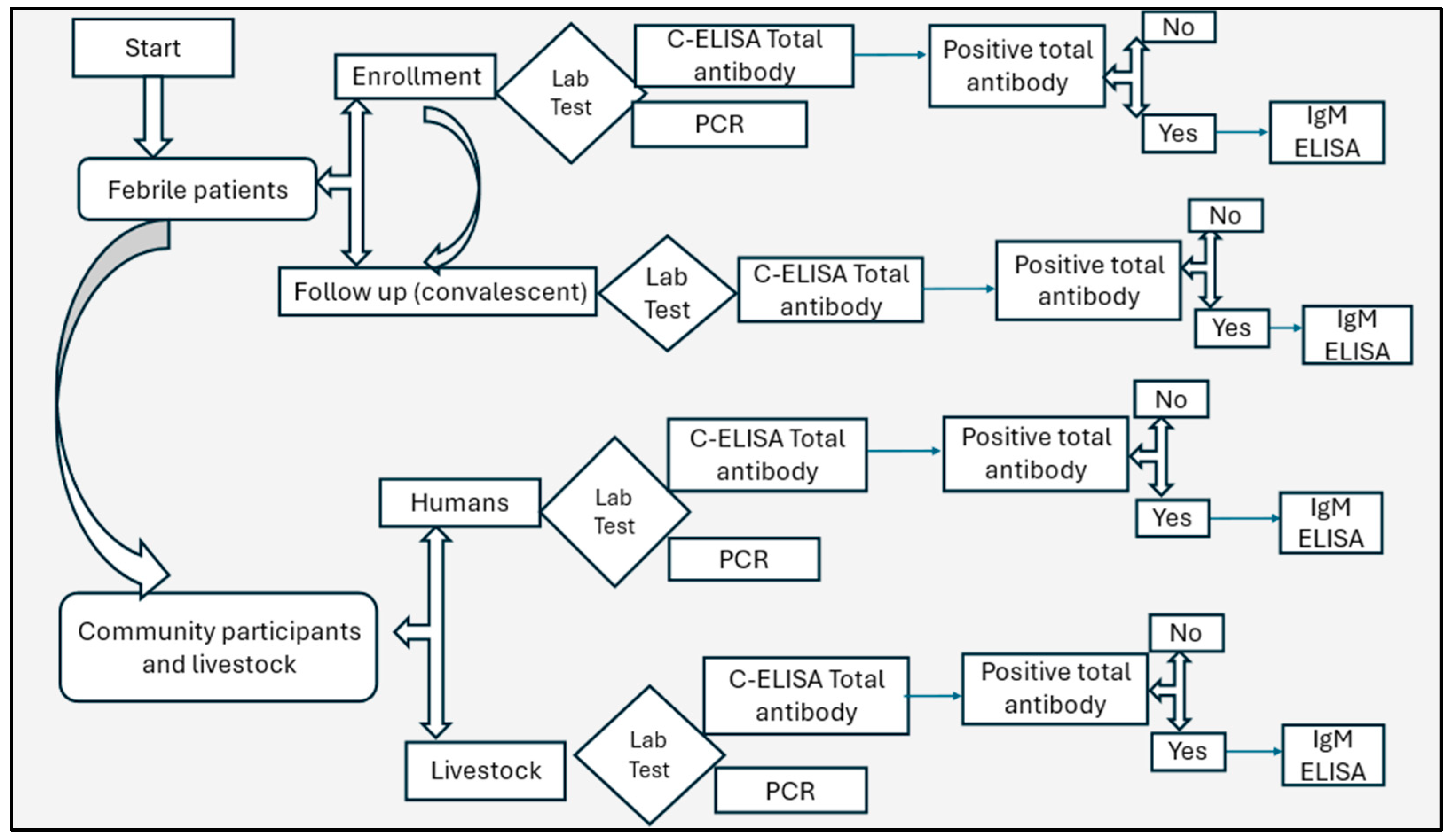 Viruses 16 01927 g002
