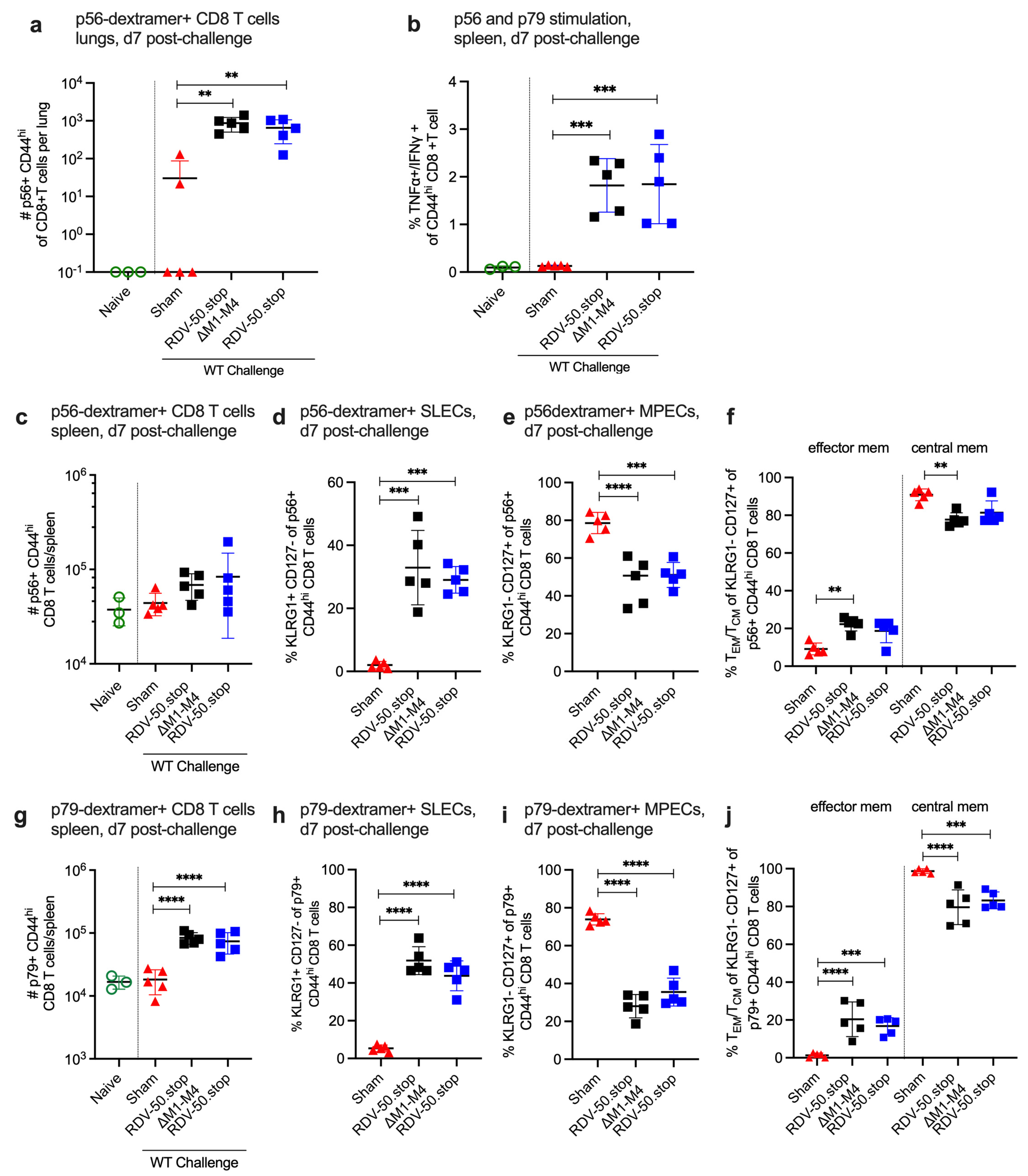 Viruses 16 01930 g003 Viruses 16 01930 g003
