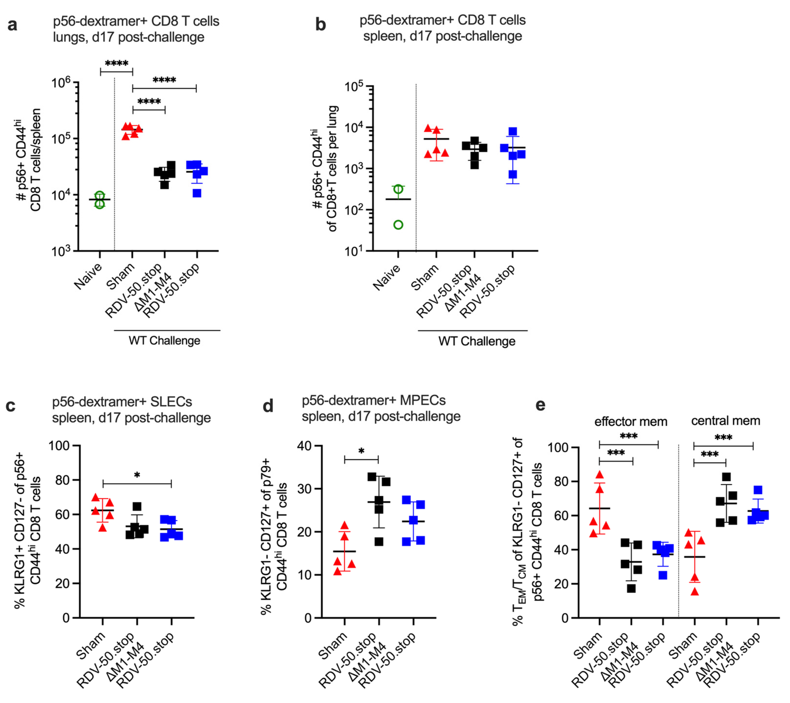 Viruses 16 01930 g004 Viruses 16 01930 g004