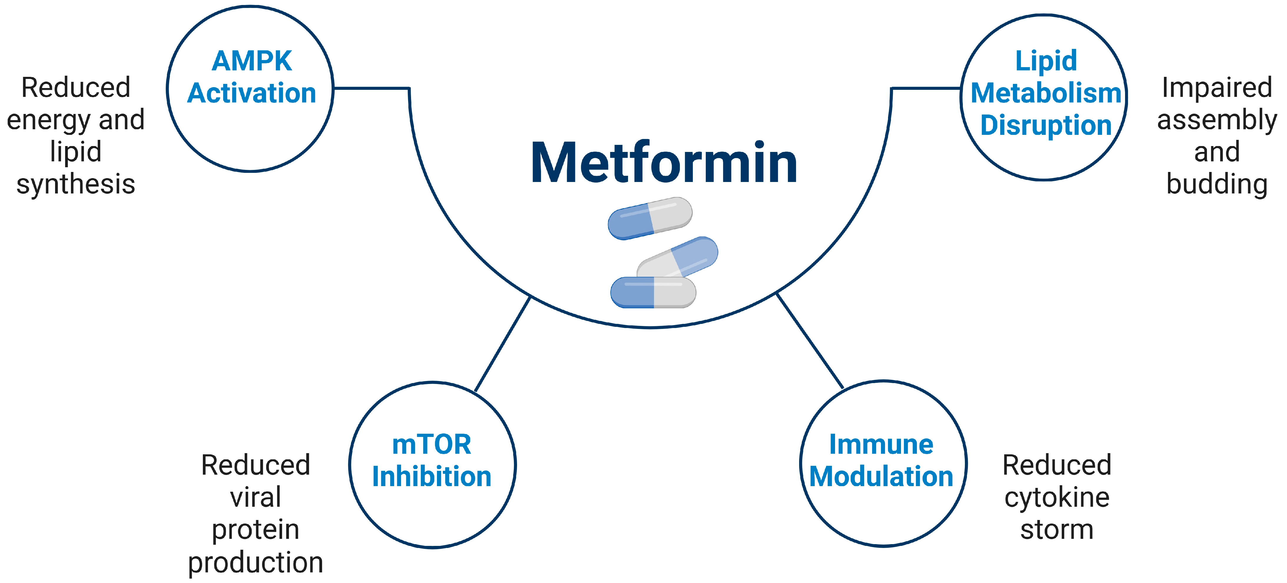 Viruses 16 01938 g001