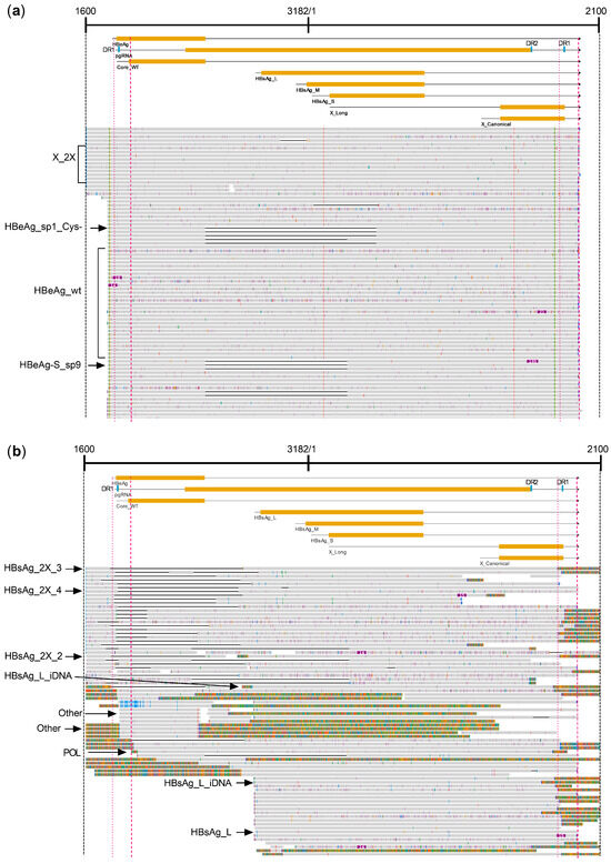 【2024最新】SNSで話題・人気の商品のおすすめアイテム B Hepatitis of Characterization Virus in Transcripts 洗顔料