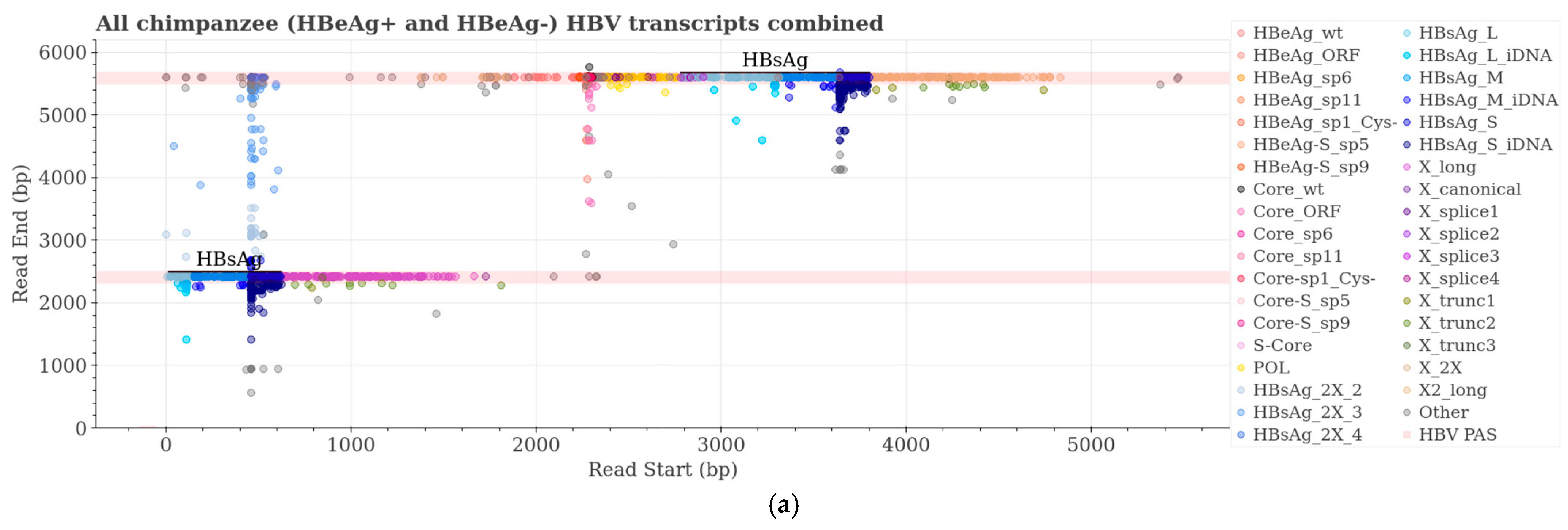 Viruses 16 01943 g005a