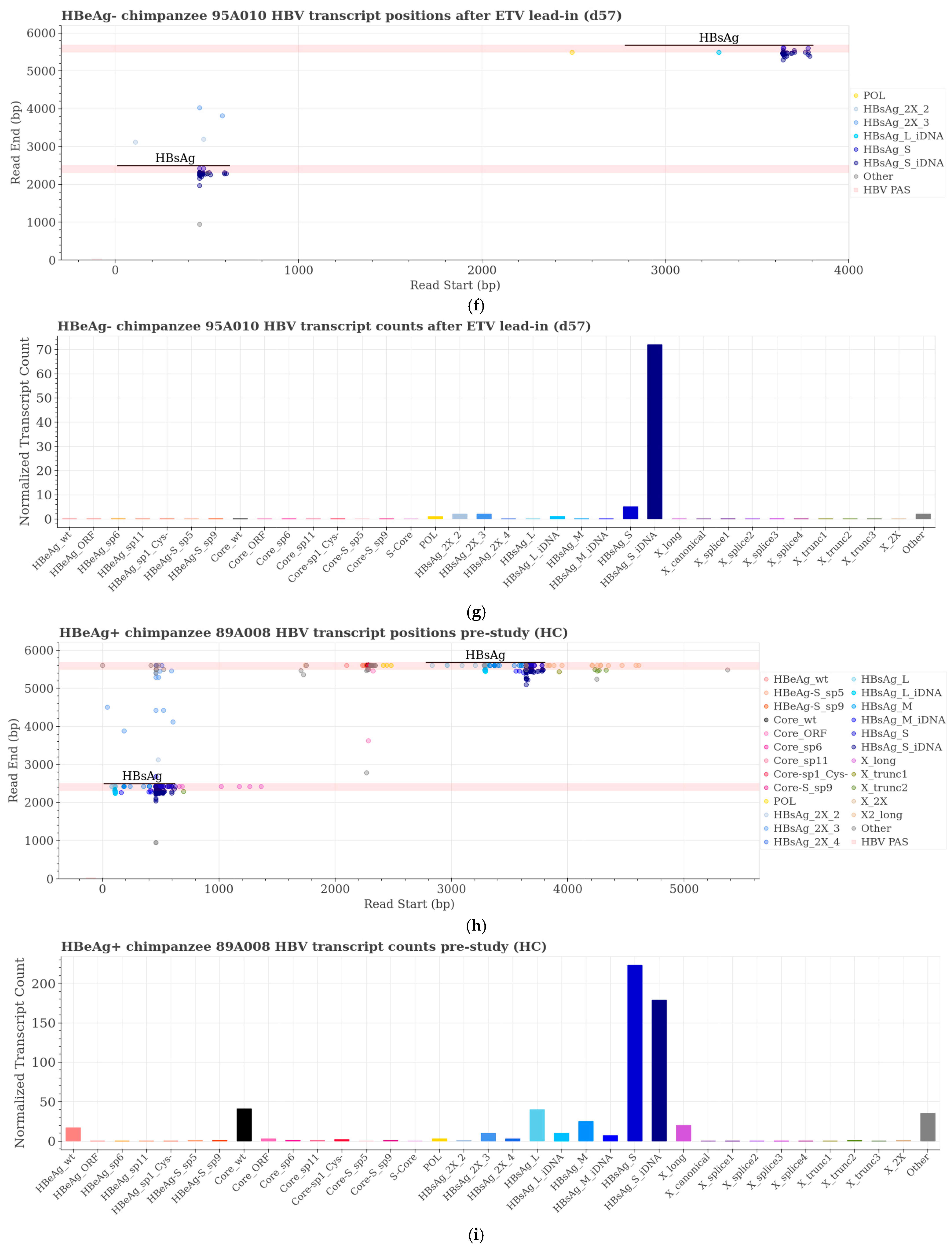 Viruses 16 01943 g005c