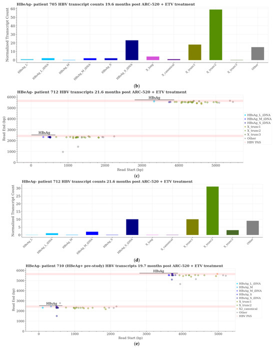 Characterization of Hepatitis B Virus Transcripts in