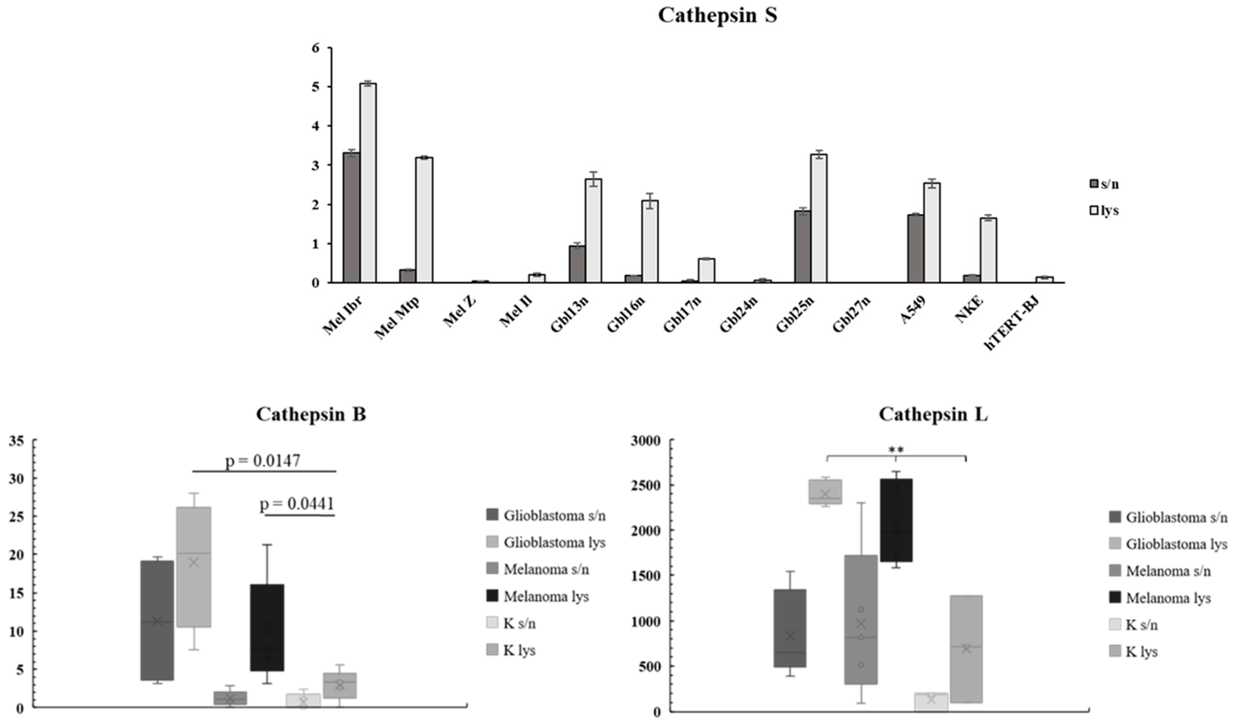 Viruses 16 01944 g011b