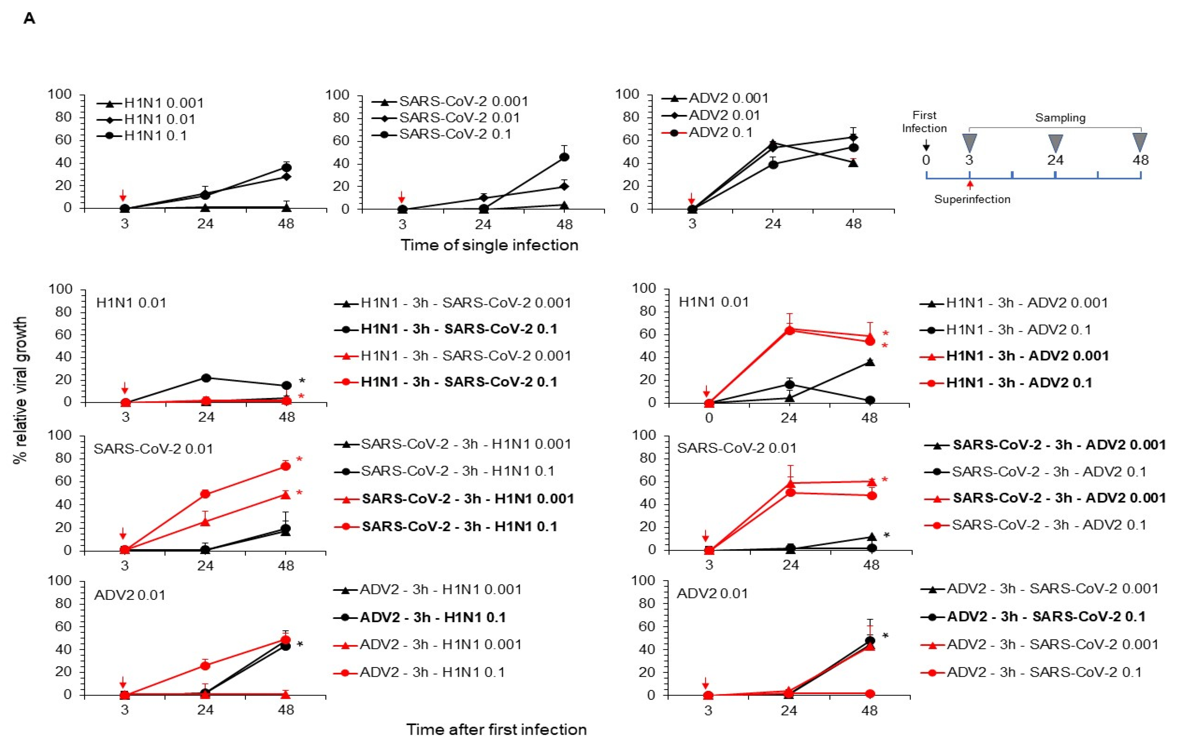 Viruses 16 01947 g002a