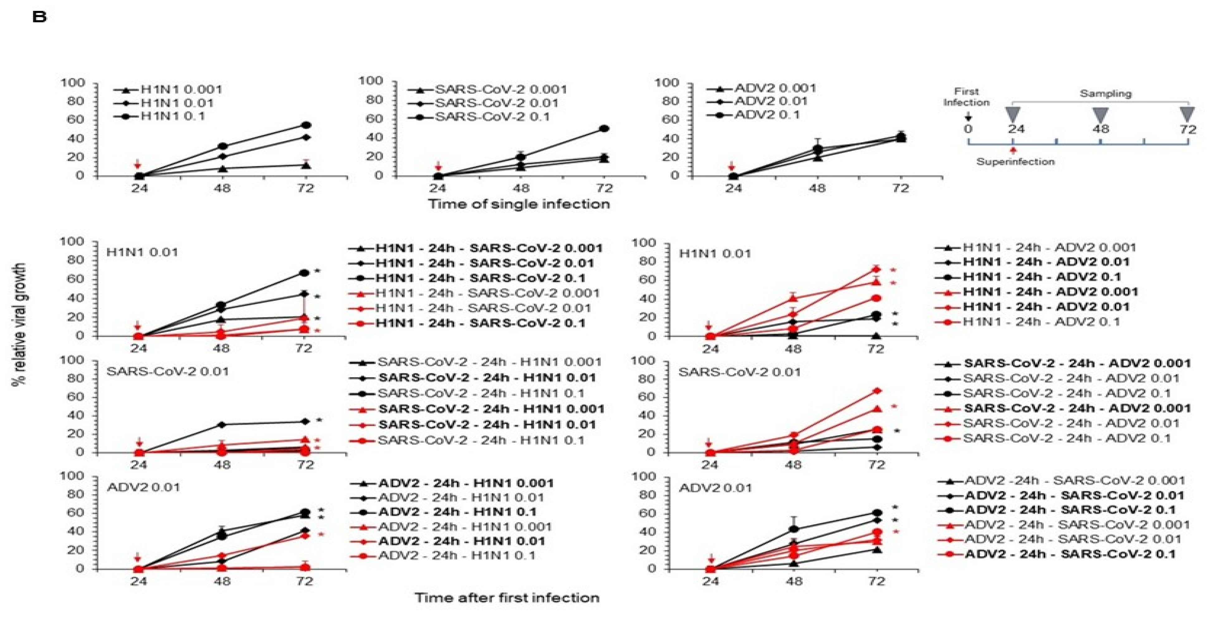 Viruses 16 01947 g002b