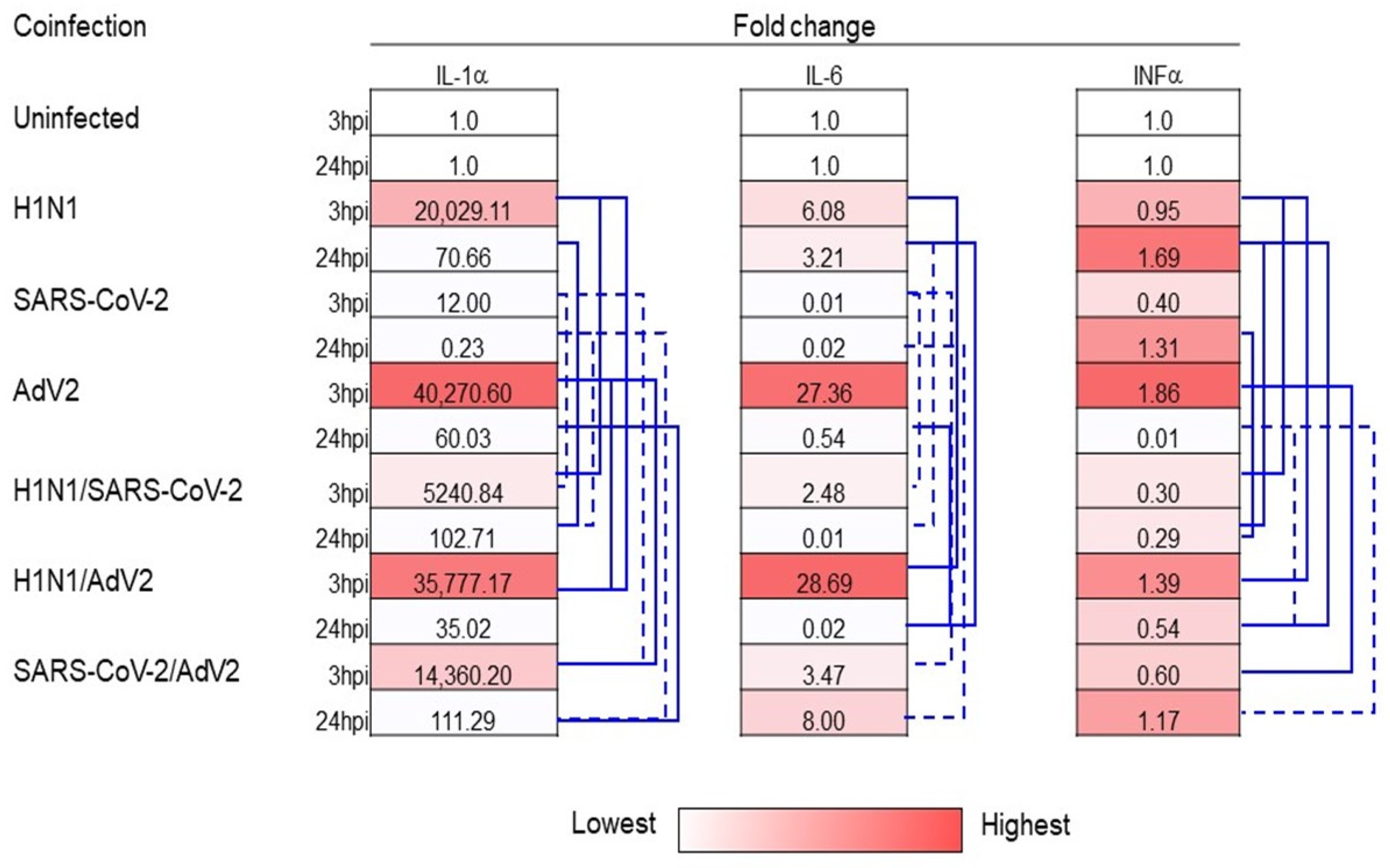 Viruses 16 01947 g003