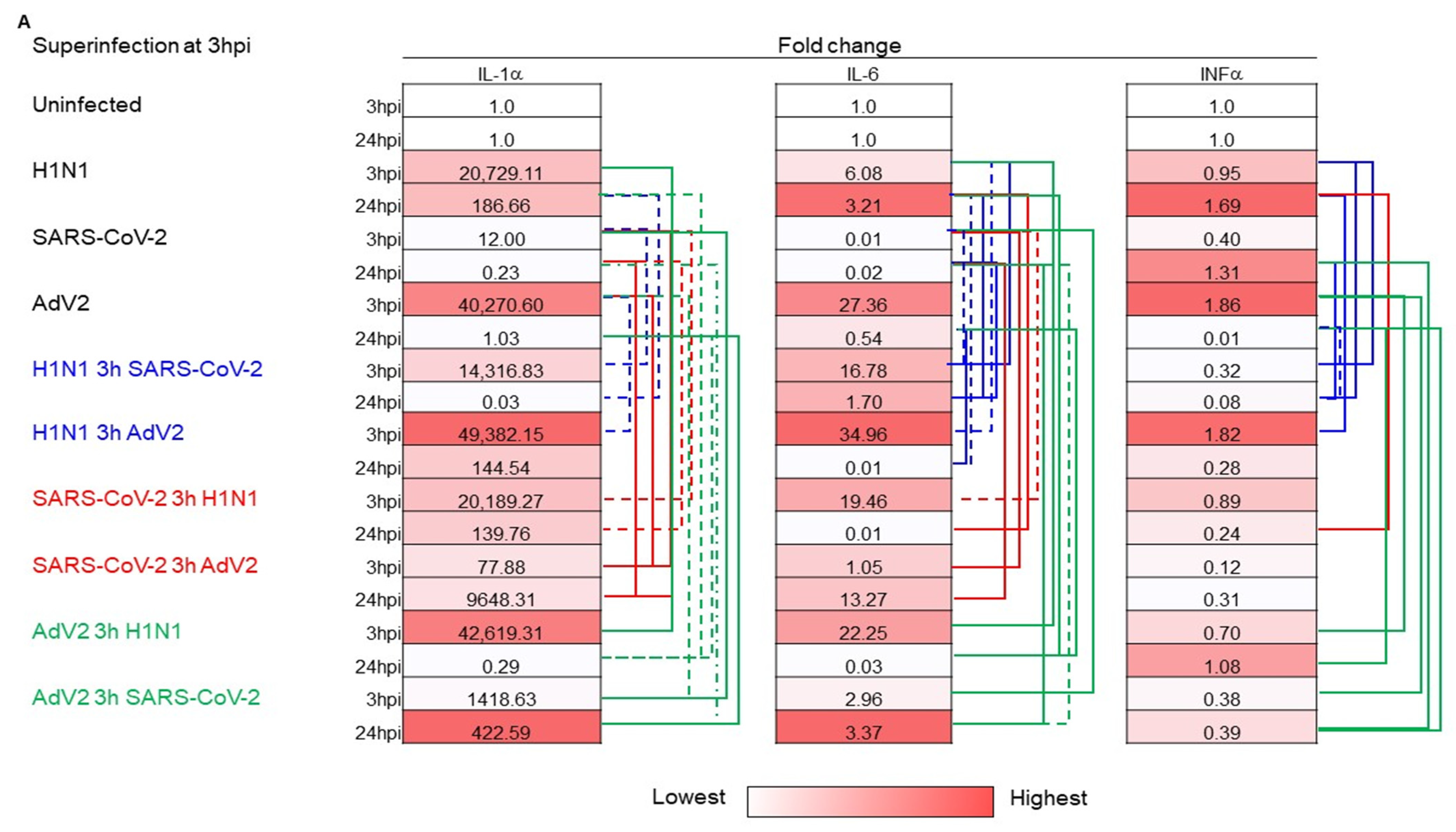 Viruses 16 01947 g004a