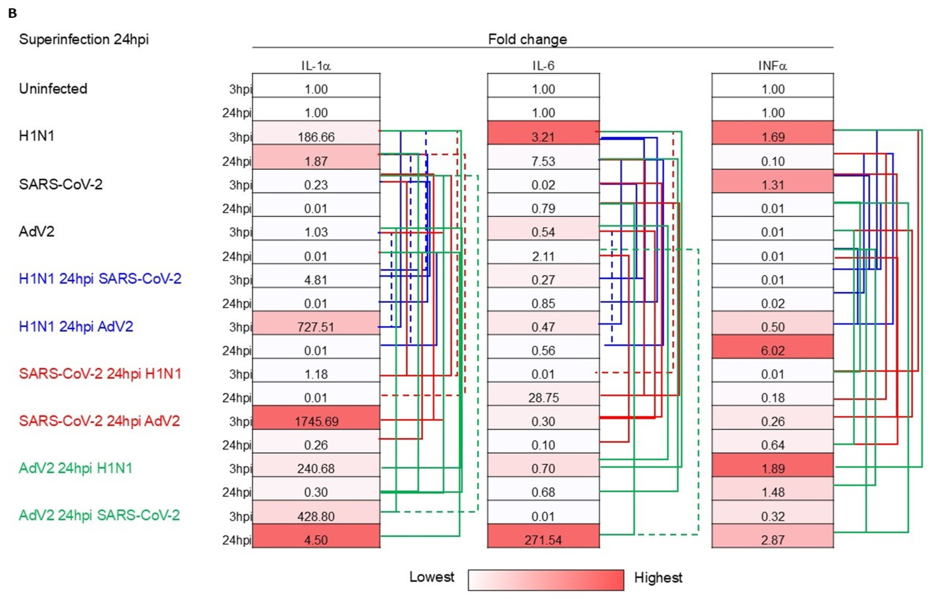 Viruses 16 01947 g004b