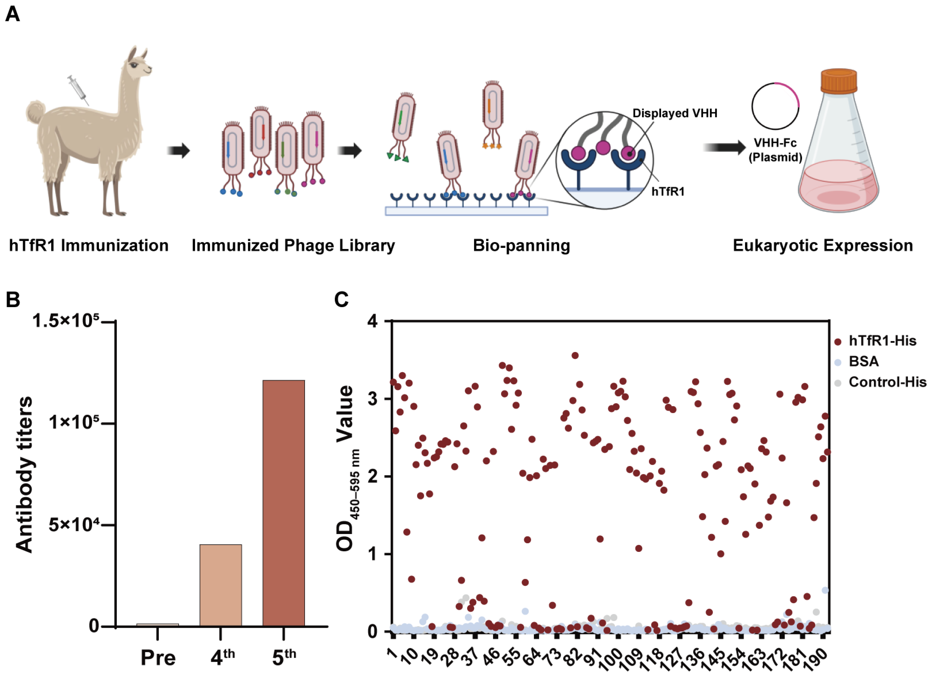 Viruses 16 01951 g001