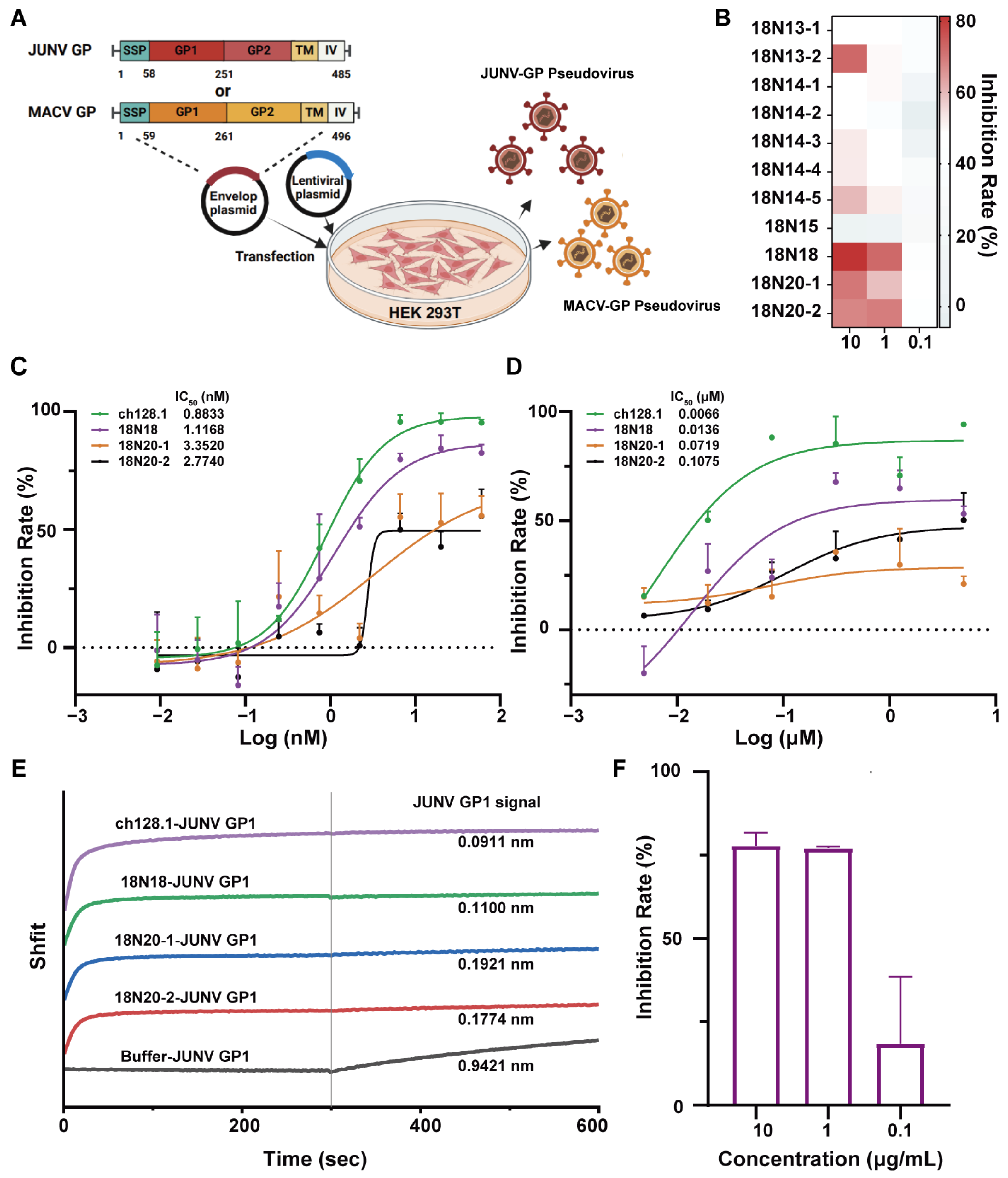Viruses 16 01951 g004