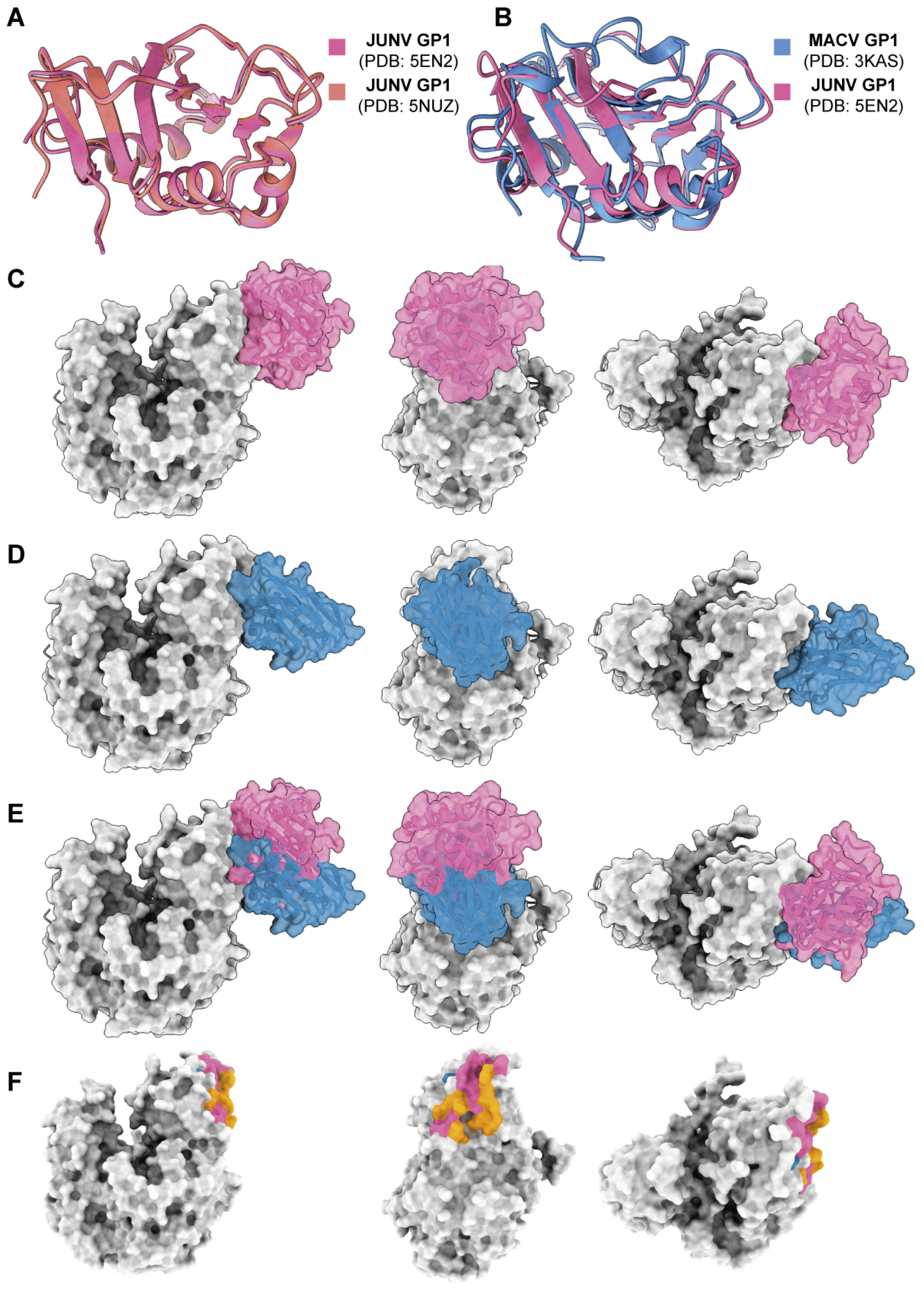 Viruses 16 01951 g005