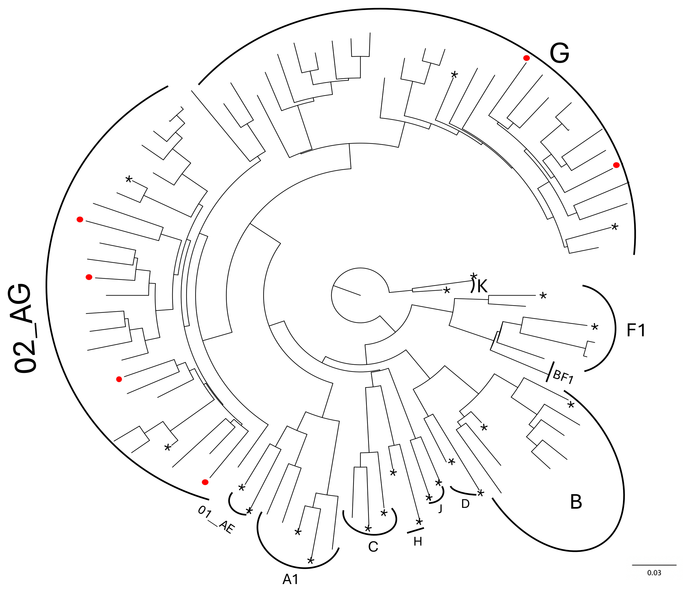 Viruses 16 01953 g001