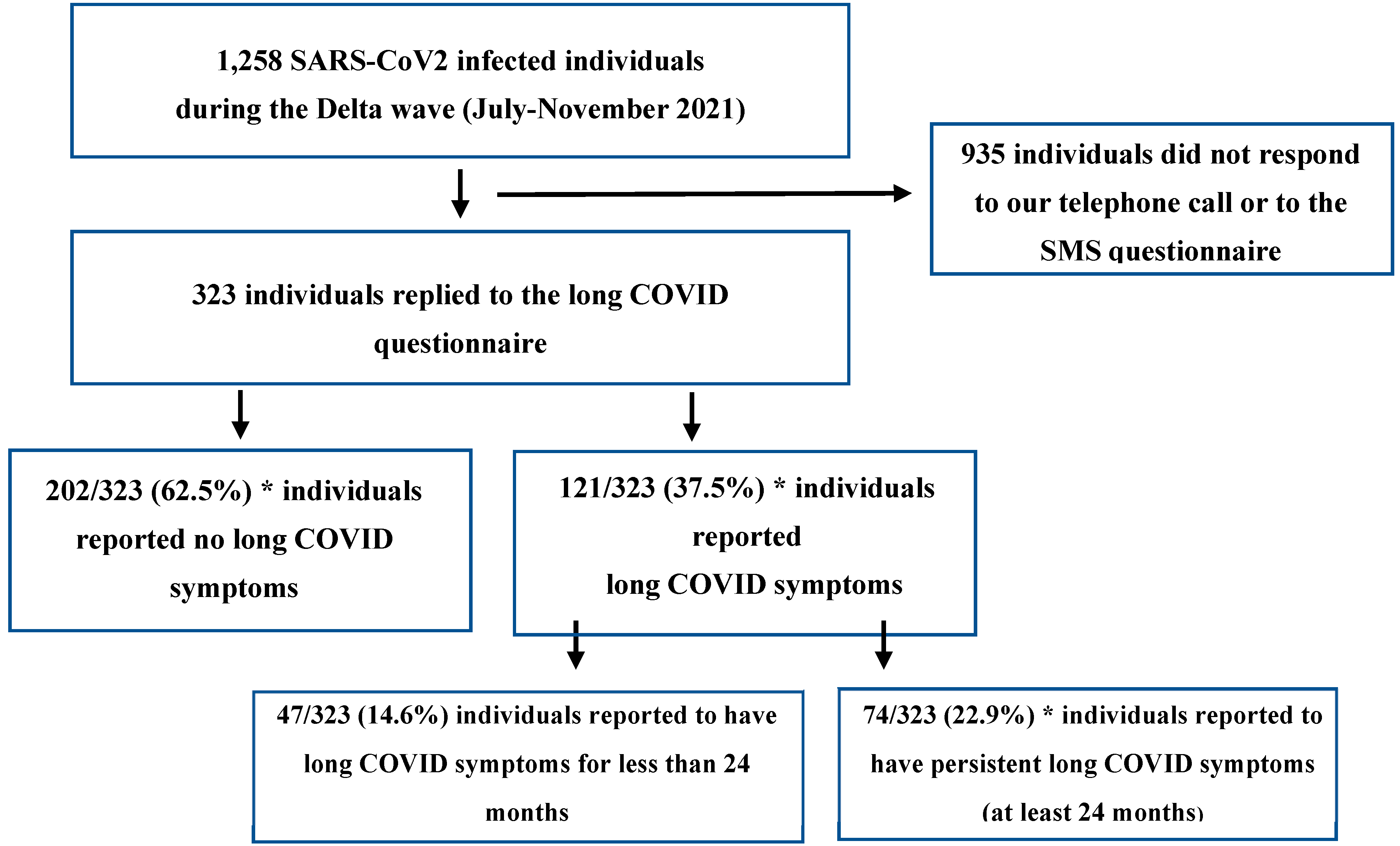 Viruses 16 01955 g001