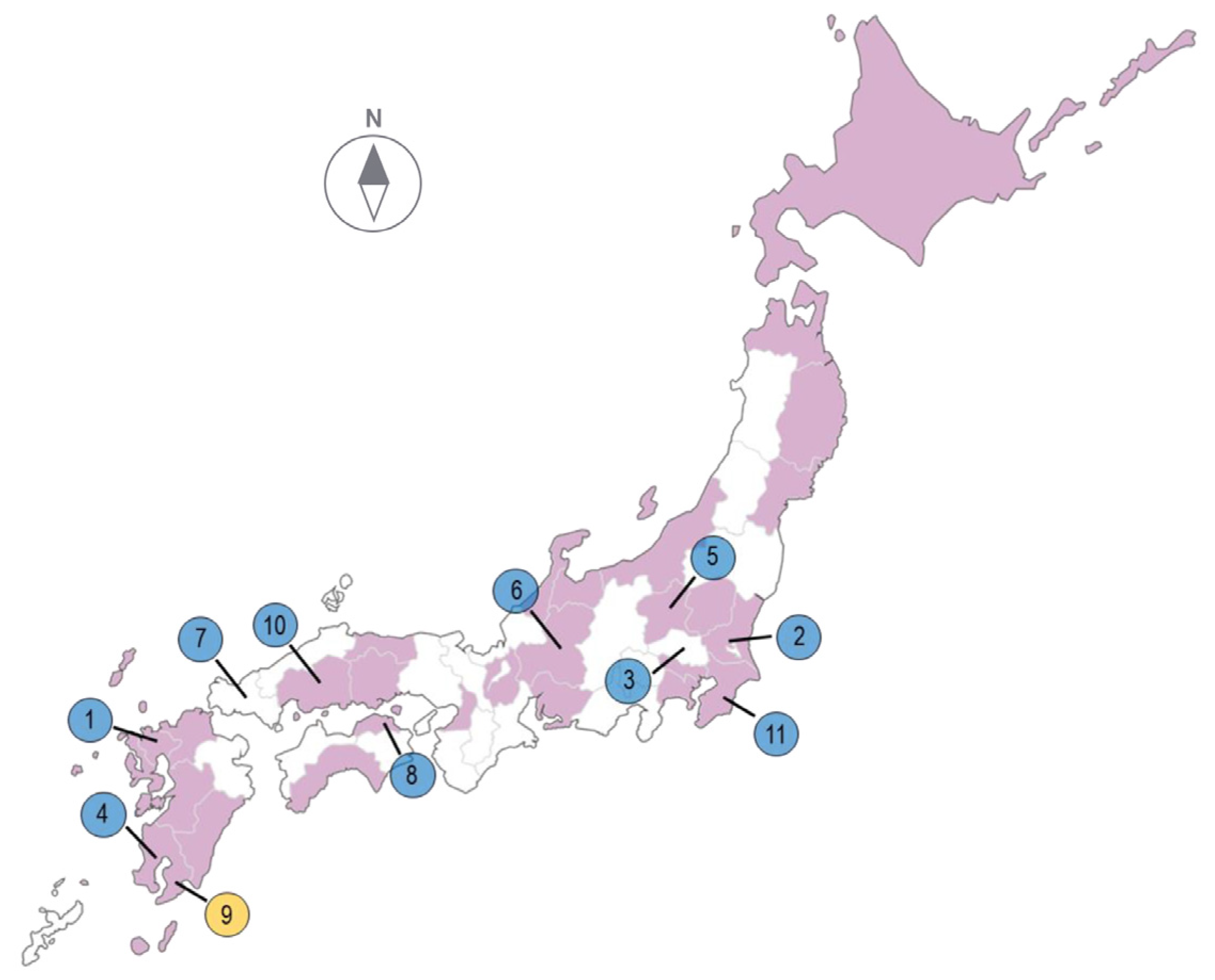 Viruses 16 01956 g001