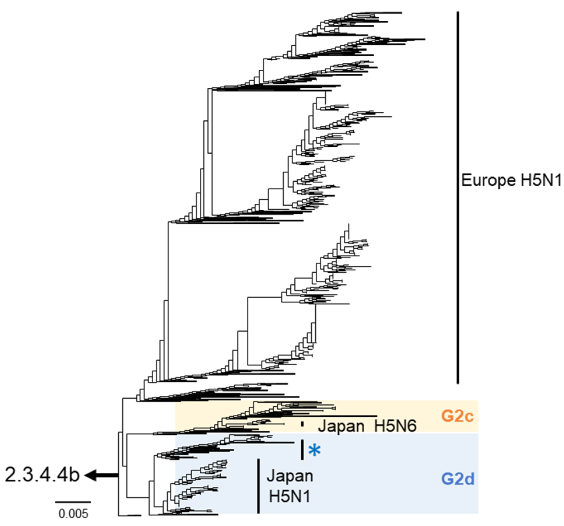 Viruses 16 01956 g002