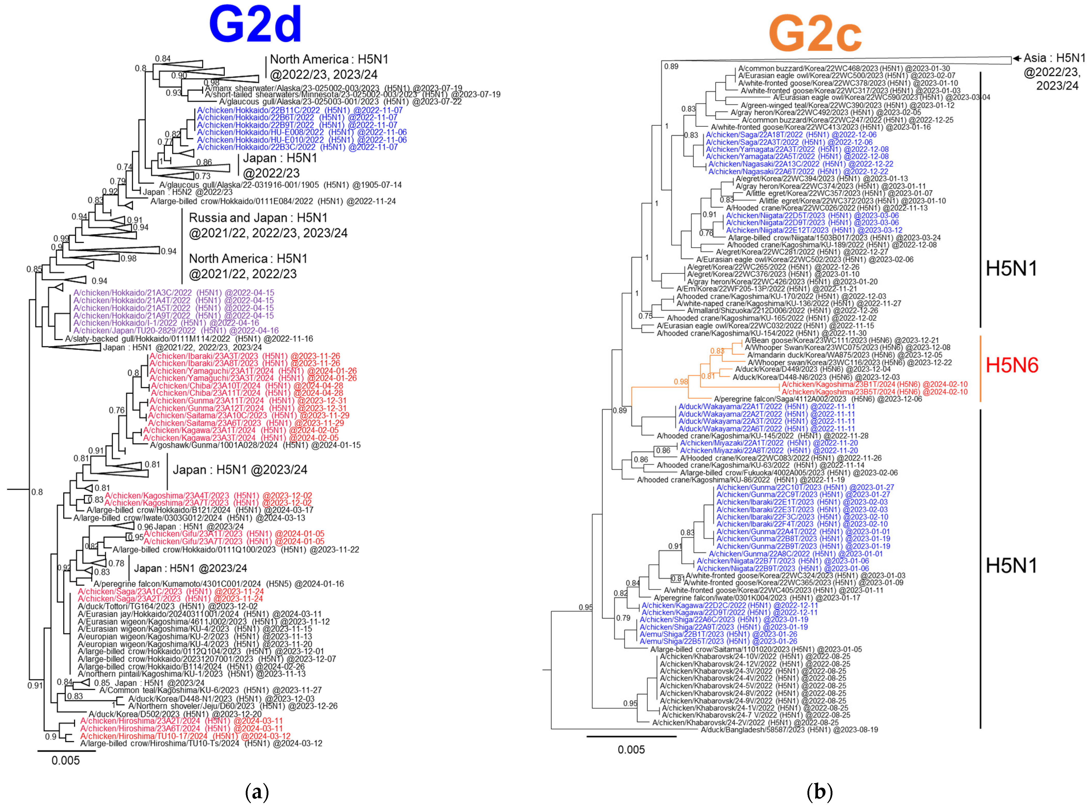 Viruses 16 01956 g003
