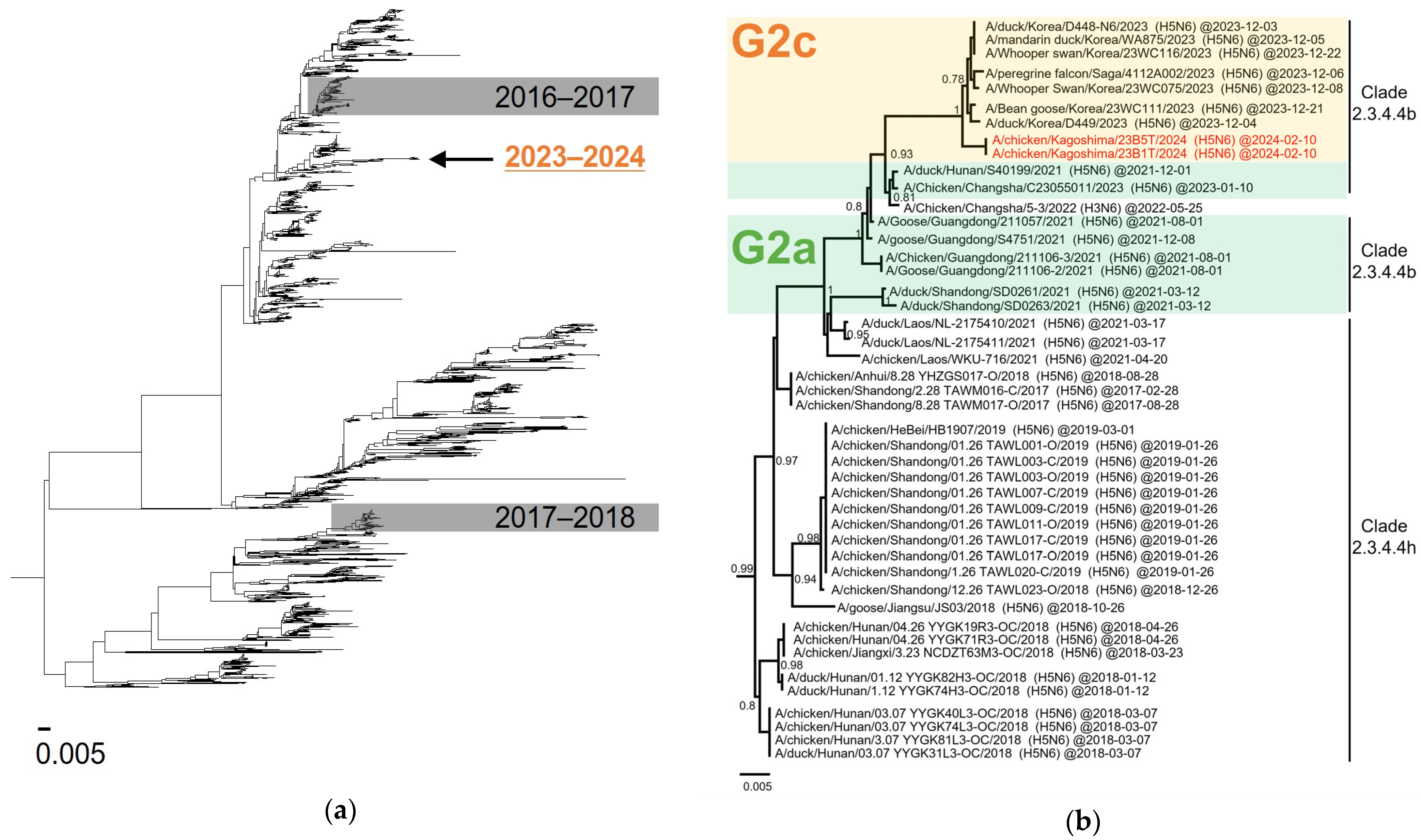 Viruses 16 01956 g004