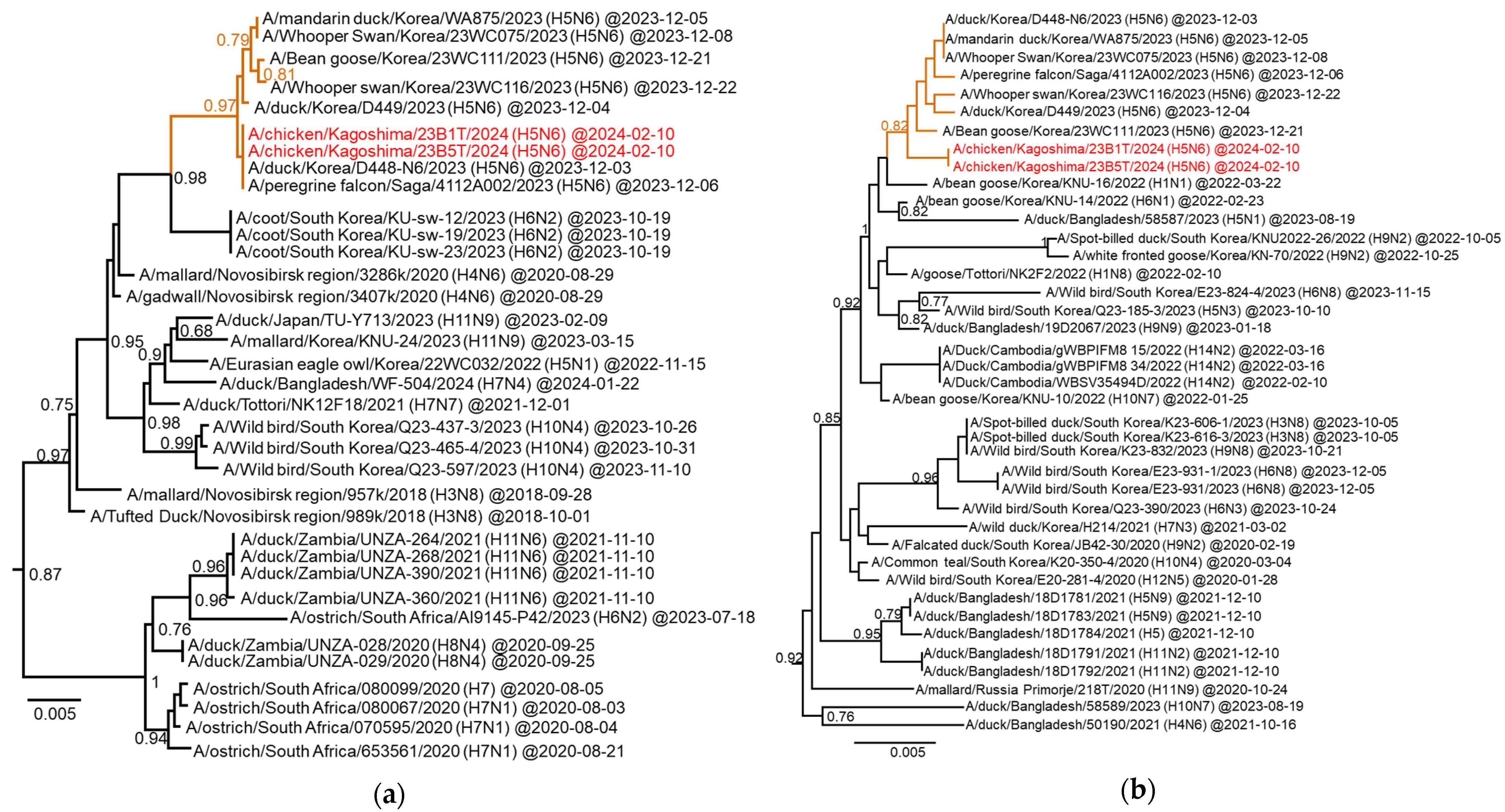 Viruses 16 01956 g005