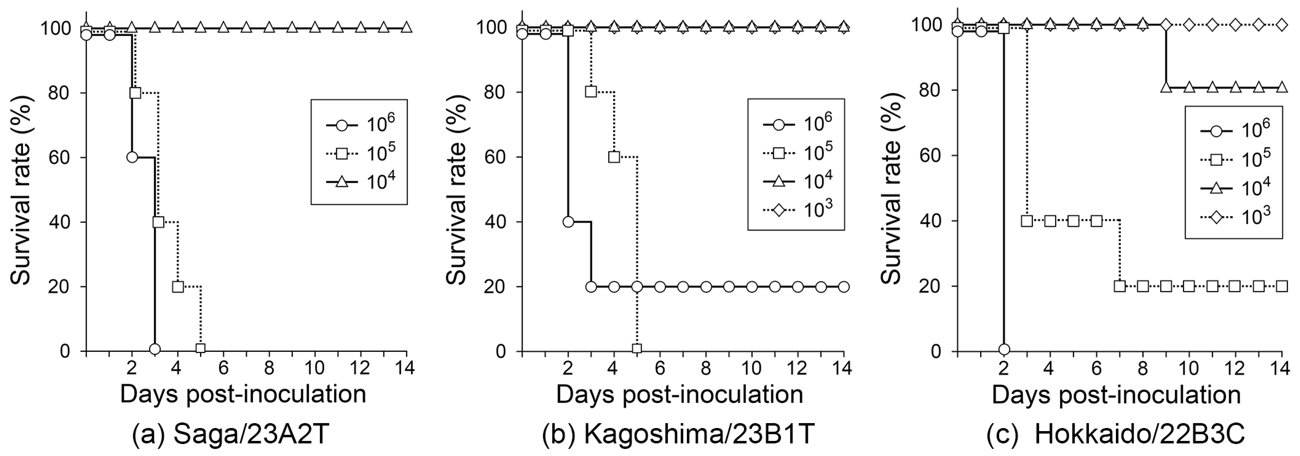 Viruses 16 01956 g006