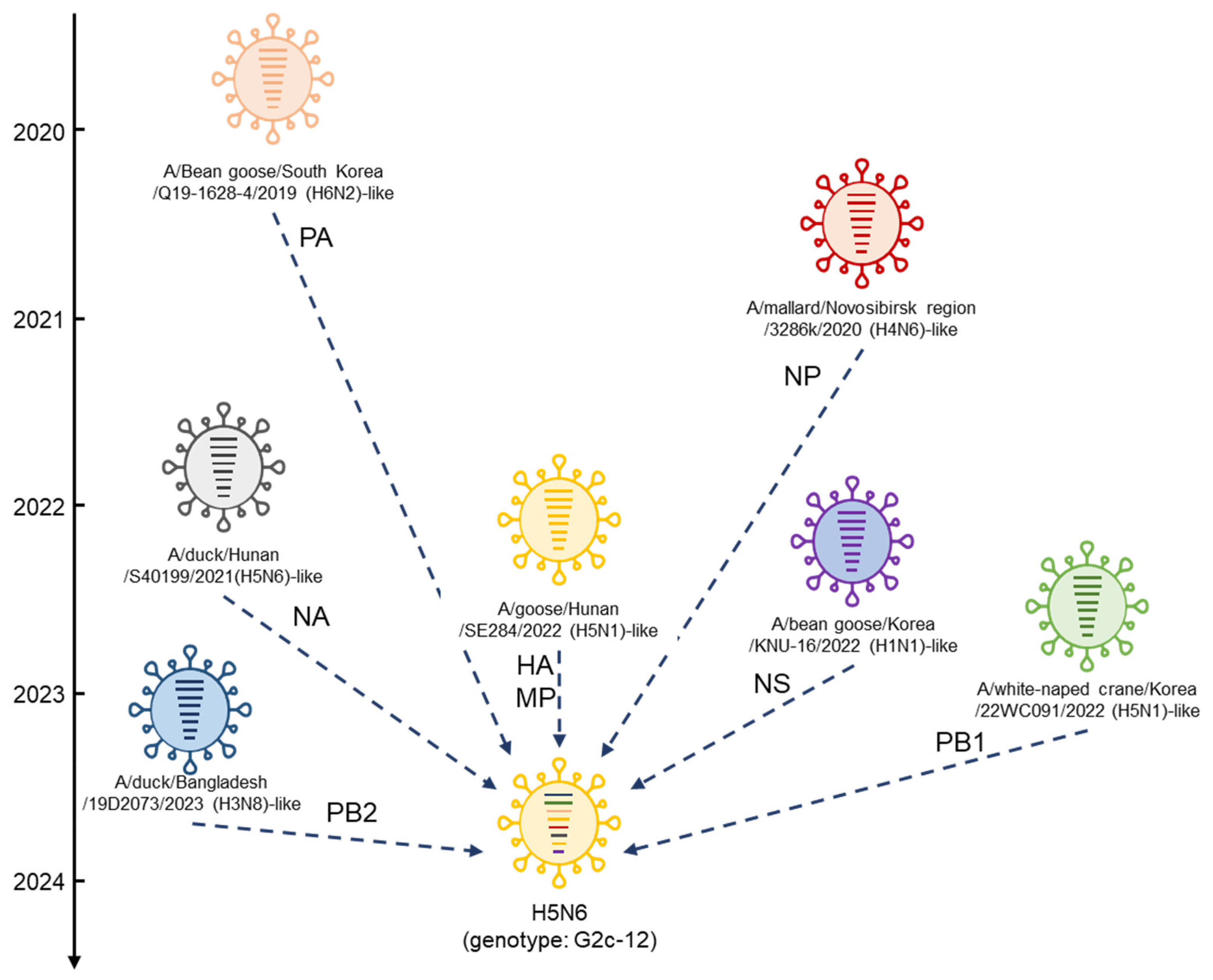 Viruses 16 01956 g009