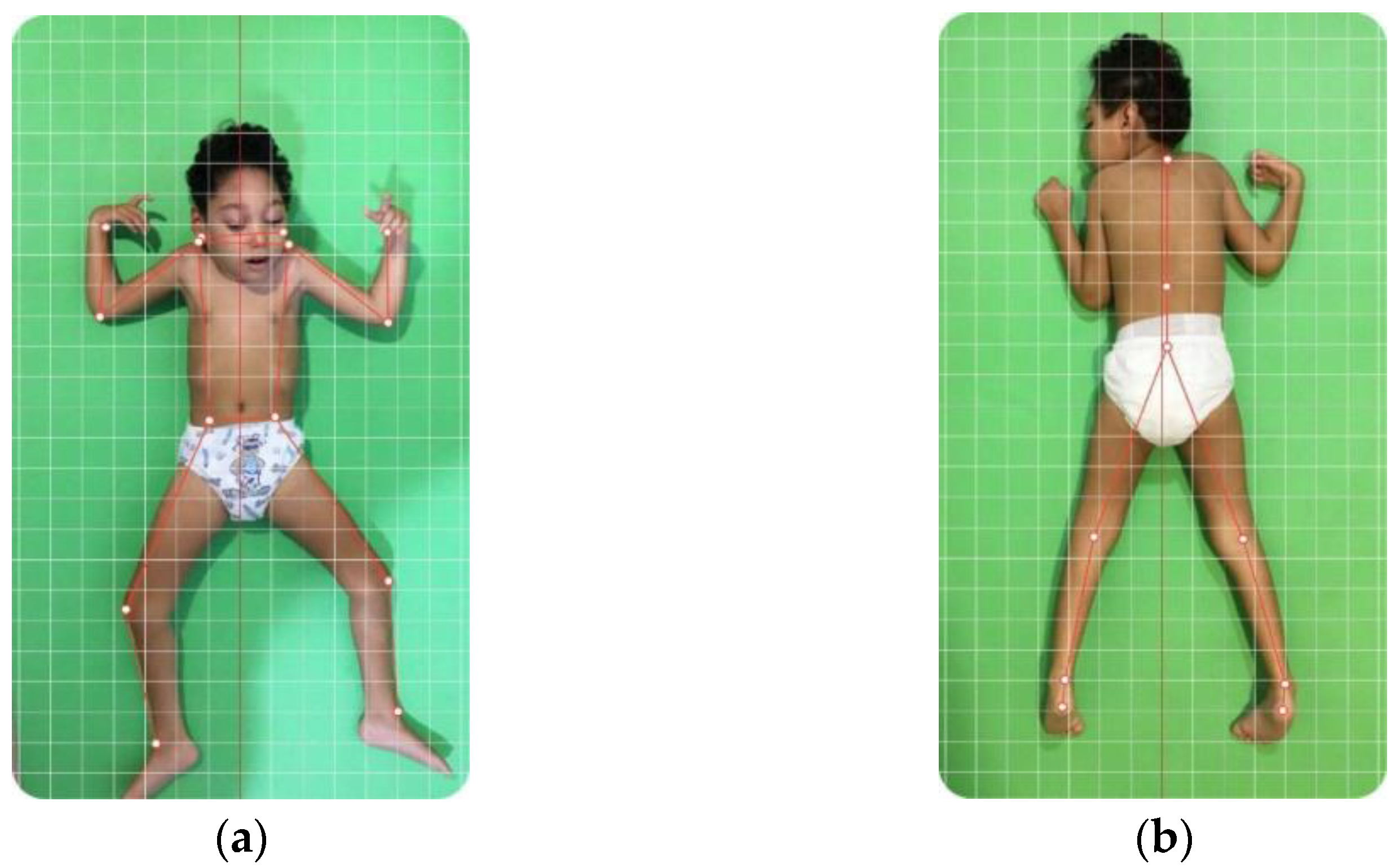 Viruses 16 01959 g002 Viruses 16 01959 g002