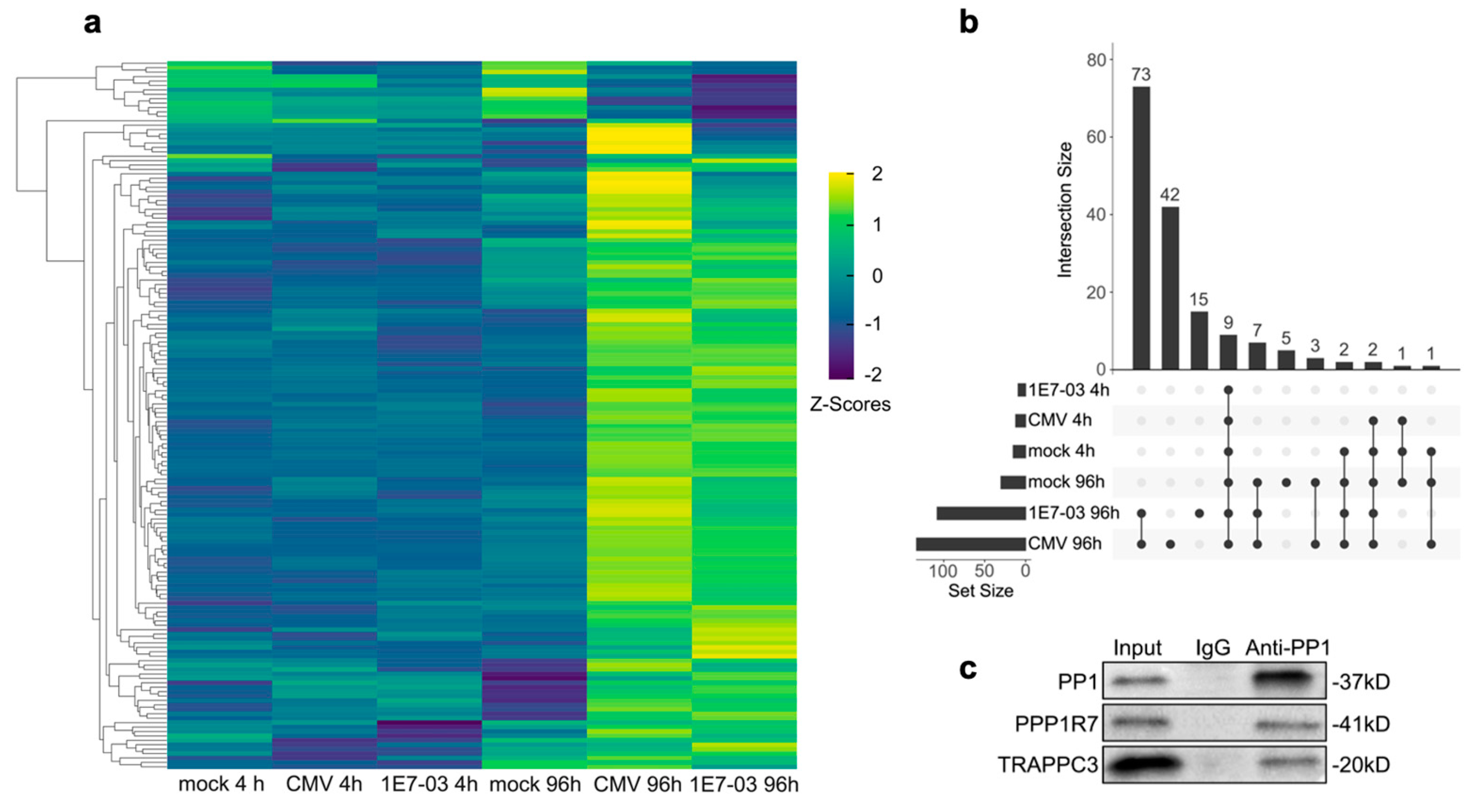 Viruses 16 01961 g003 Viruses 16 01961 g003
