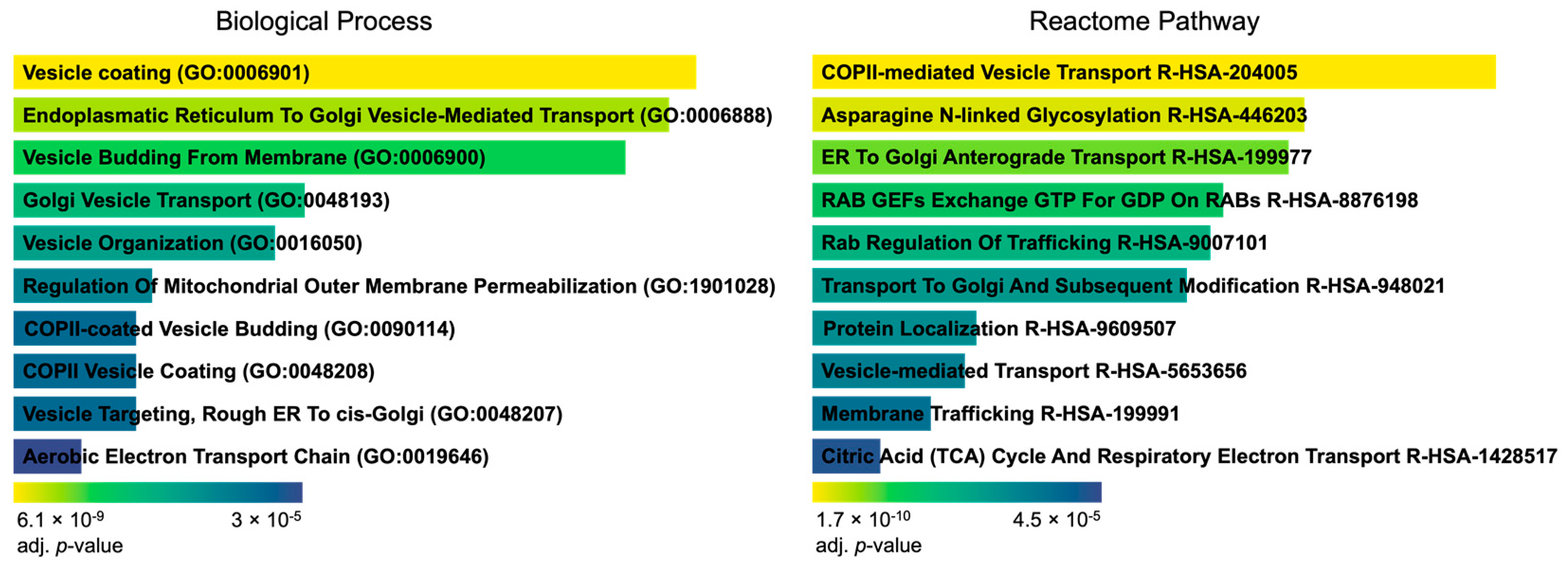 Viruses 16 01961 g004 Viruses 16 01961 g004