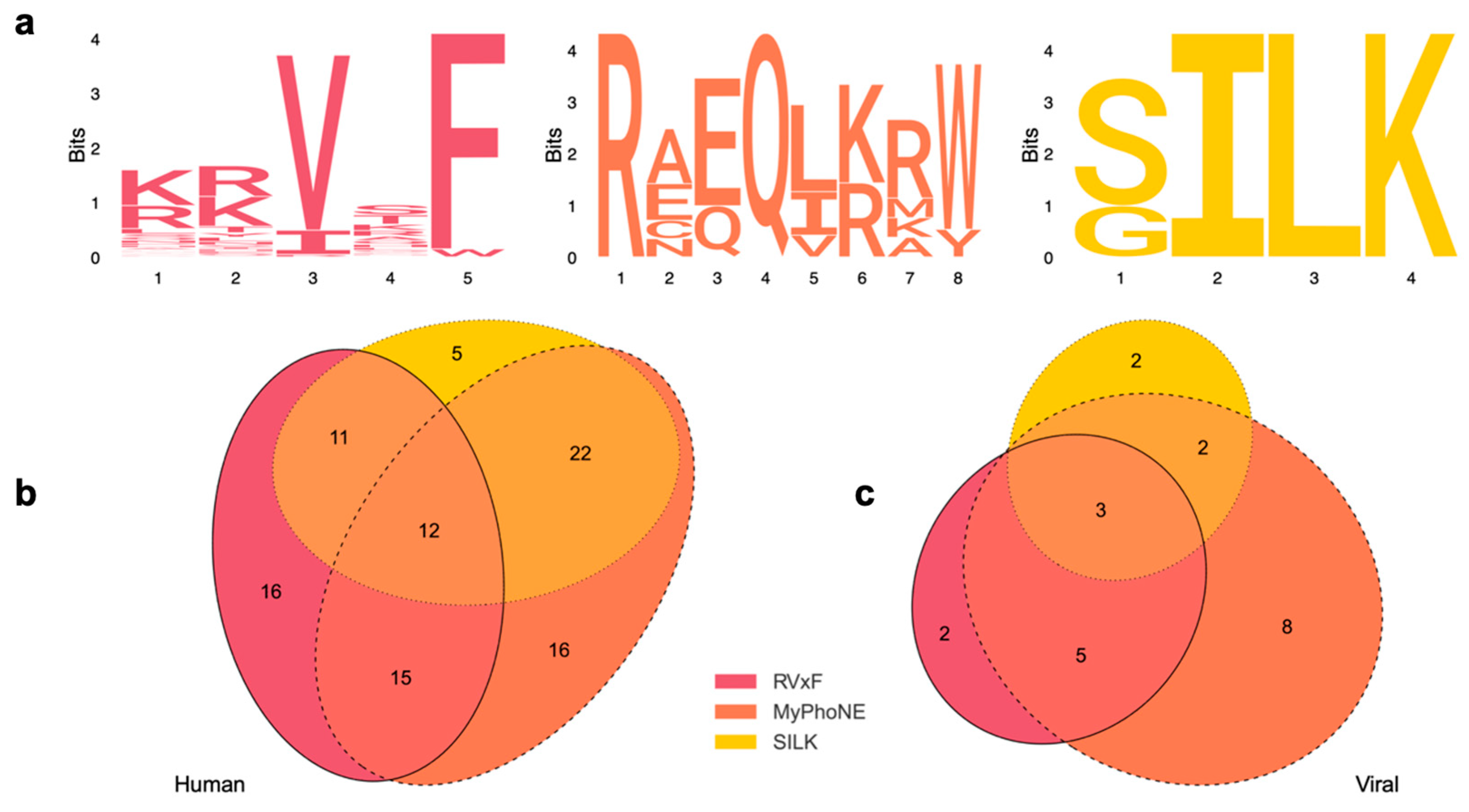 Viruses 16 01961 g005 Viruses 16 01961 g005