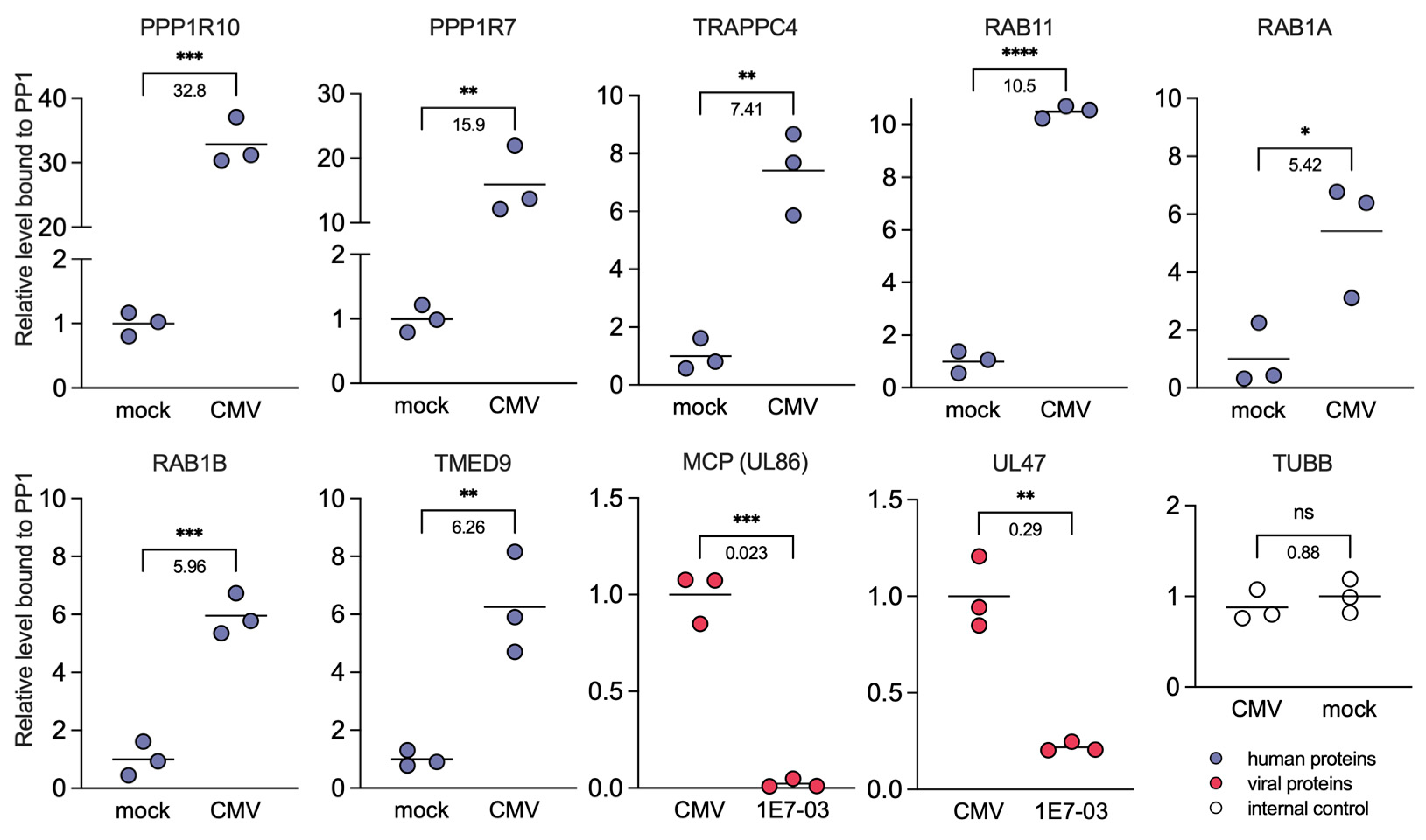 Viruses 16 01961 g007 Viruses 16 01961 g007