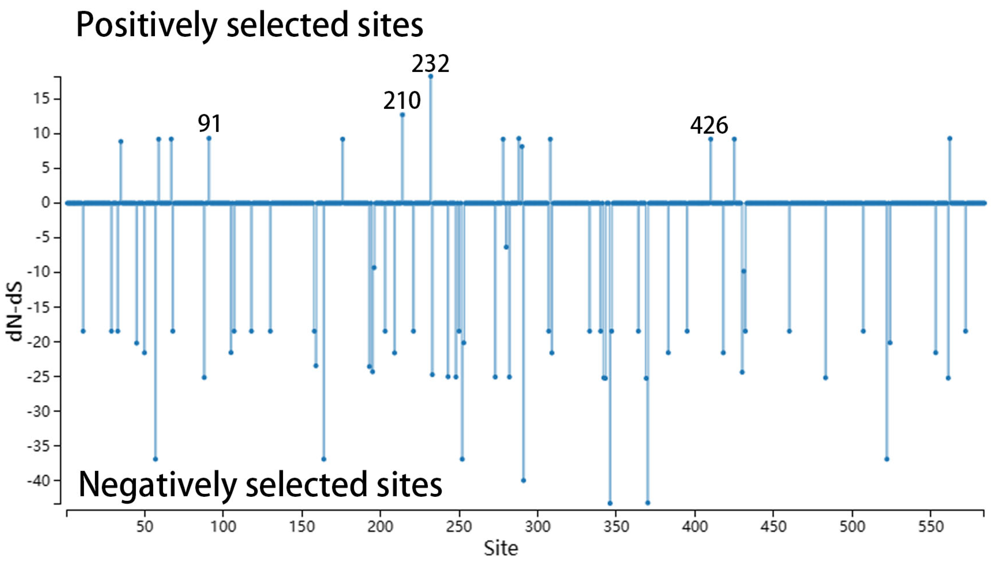 Viruses 16 01967 g002