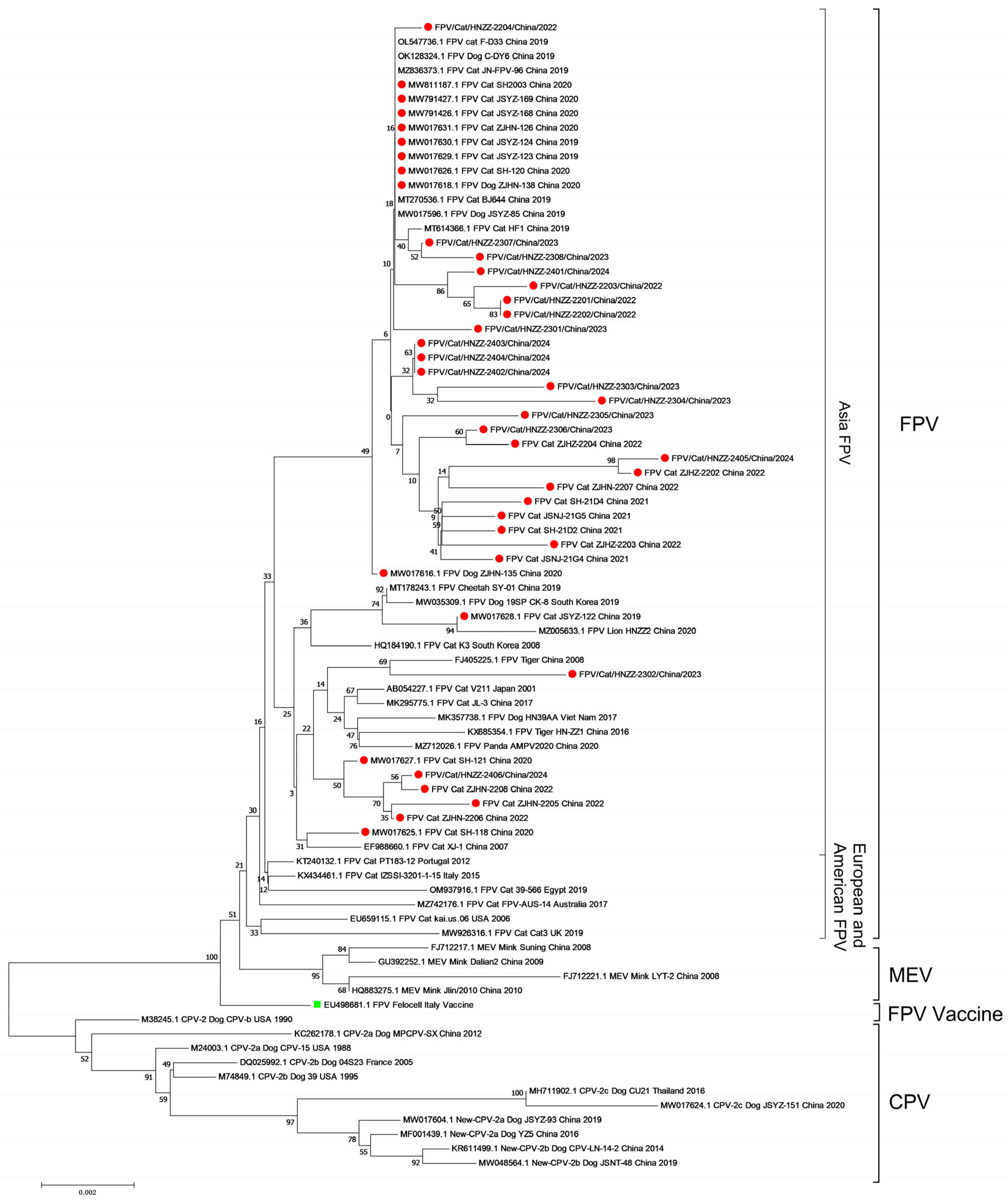 Viruses 16 01967 g003