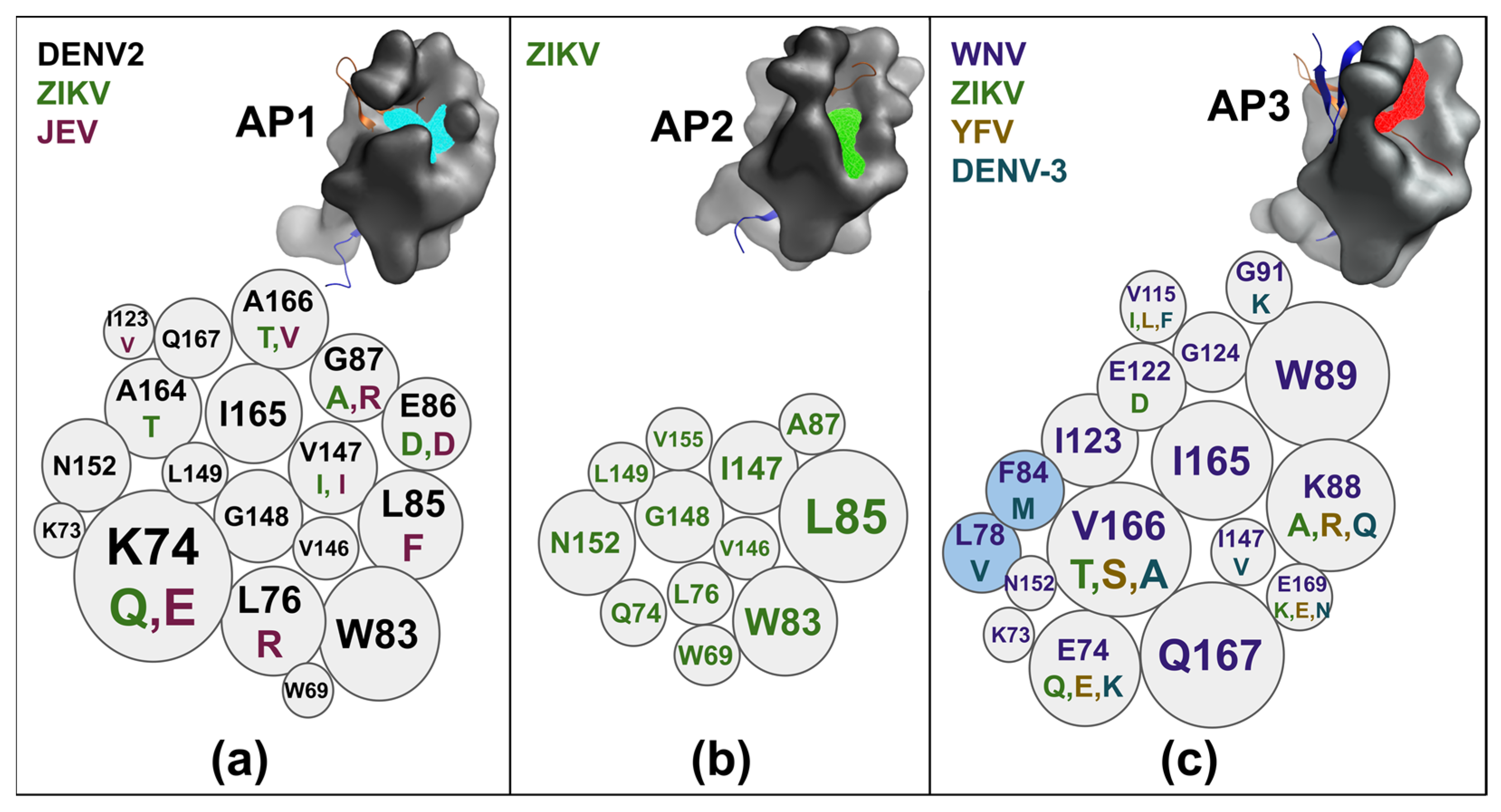 Viruses 17 00006 g004