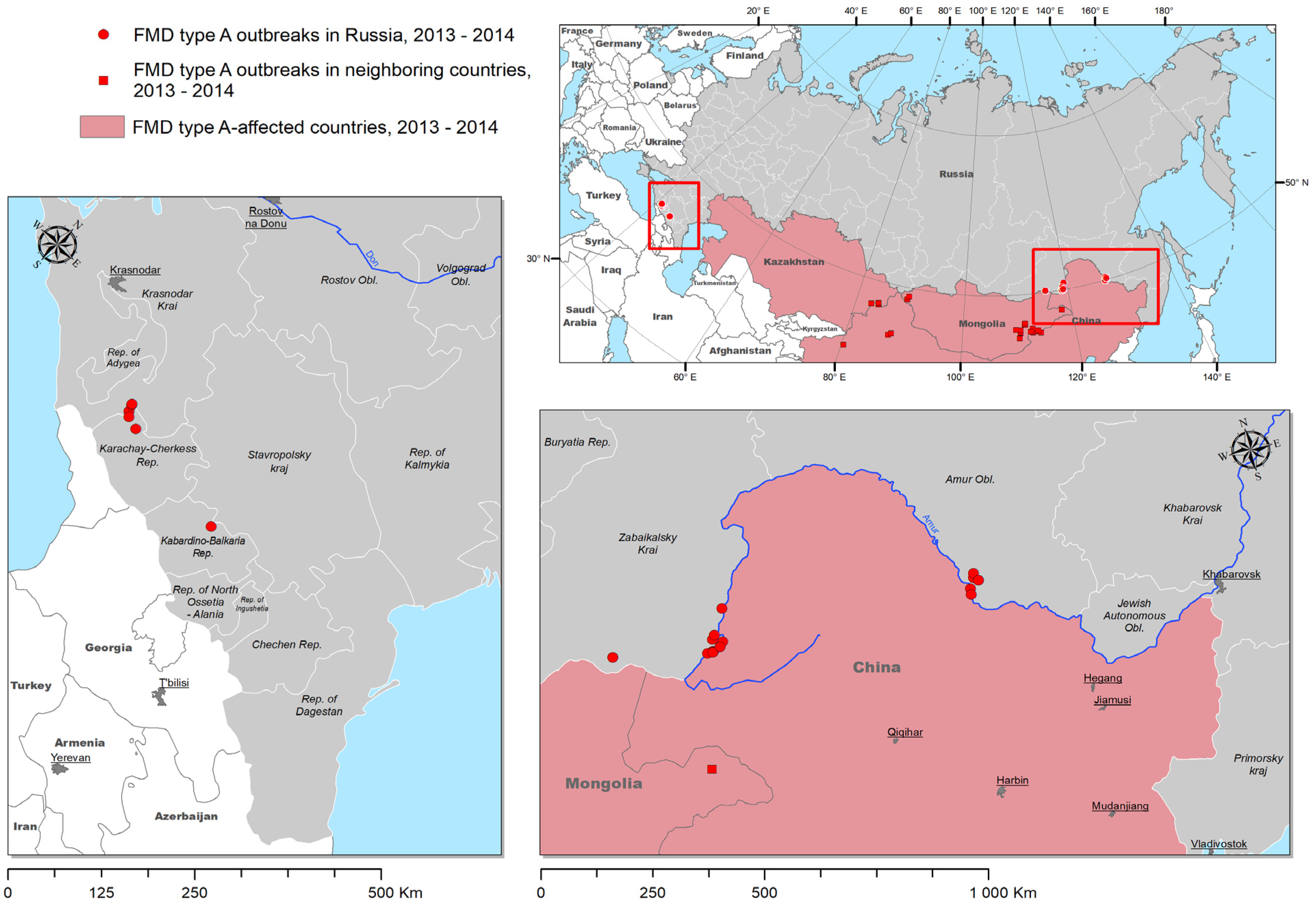 Viruses 17 00008 g001