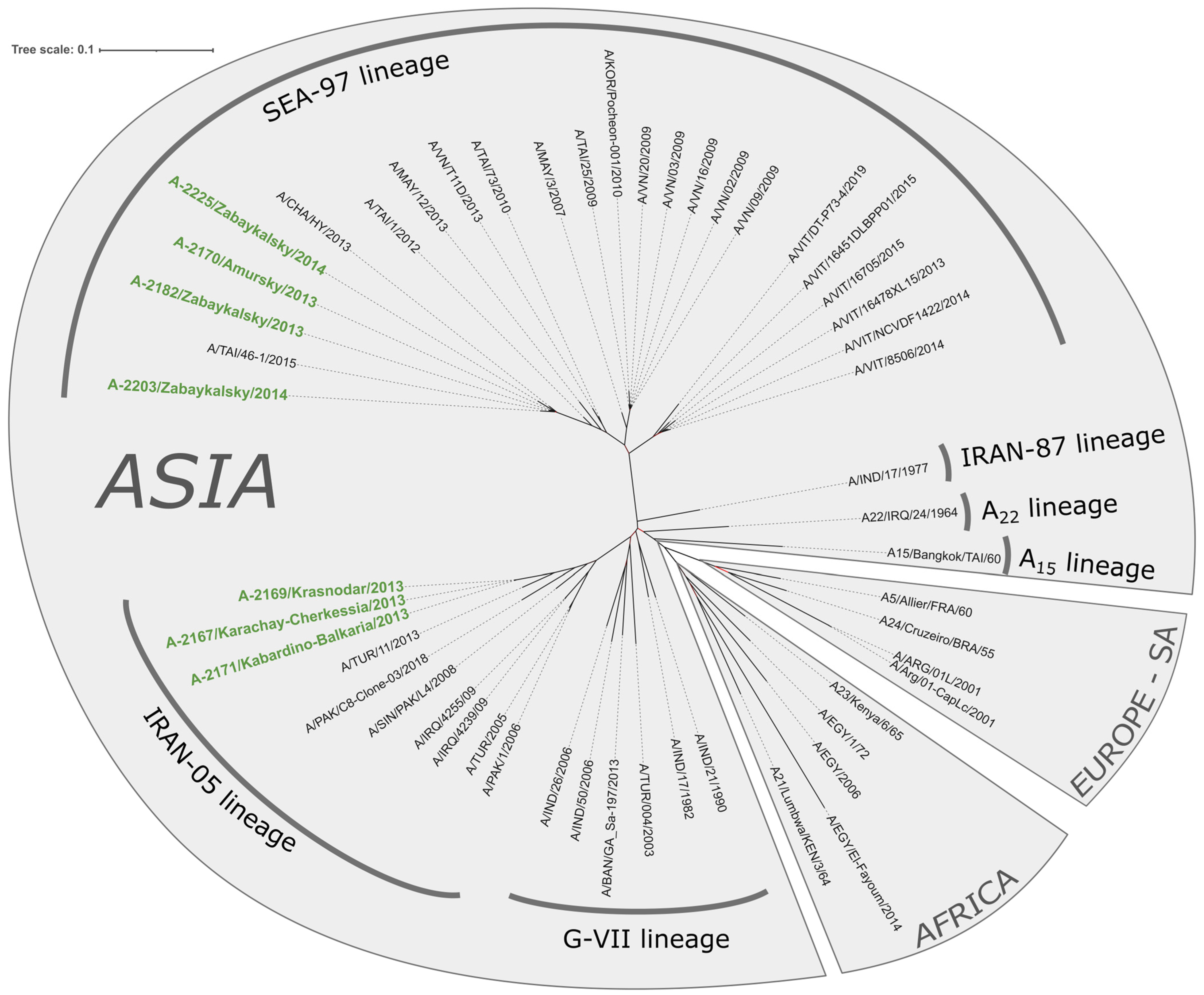Viruses 17 00008 g002