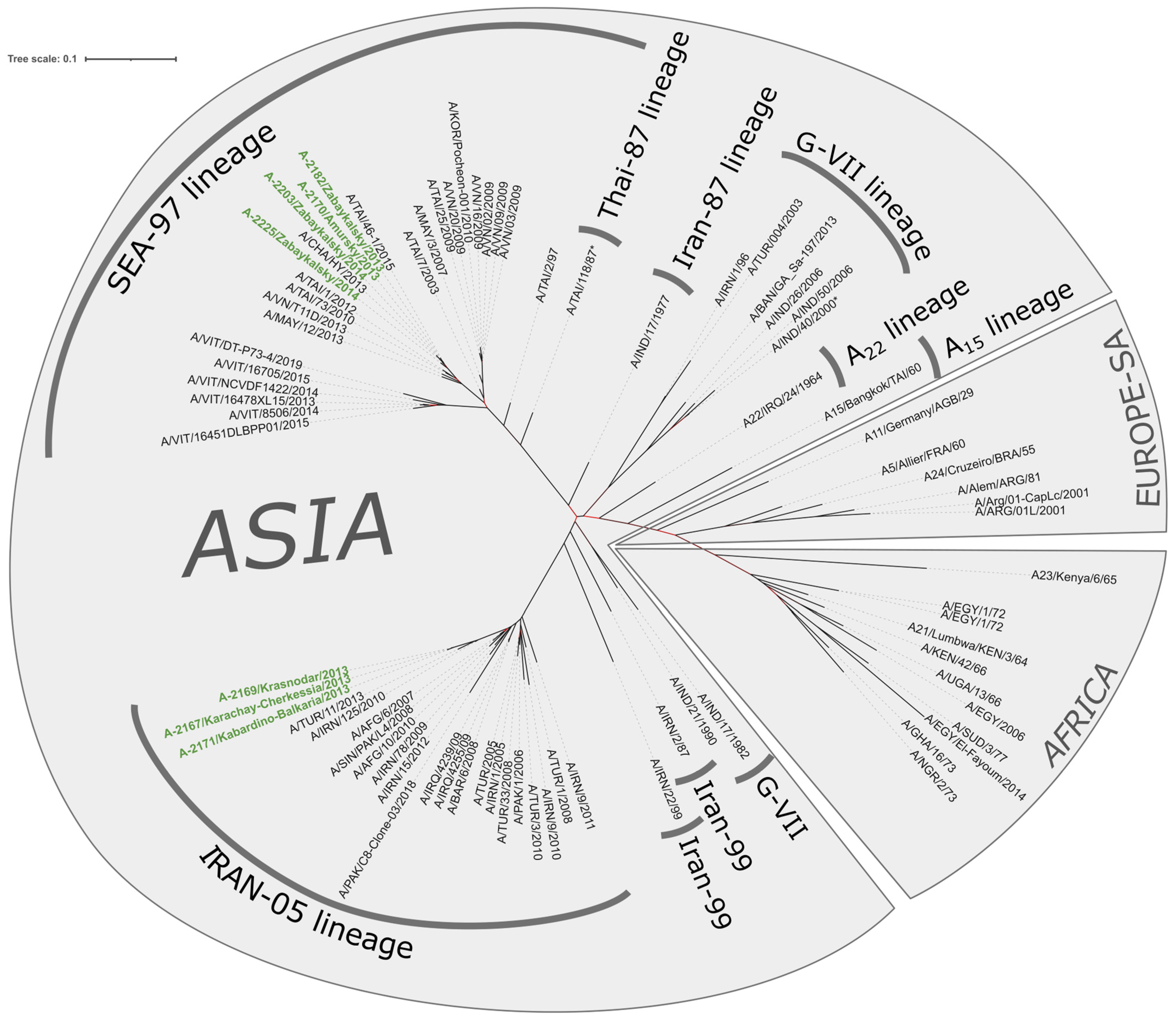 Viruses 17 00008 g003