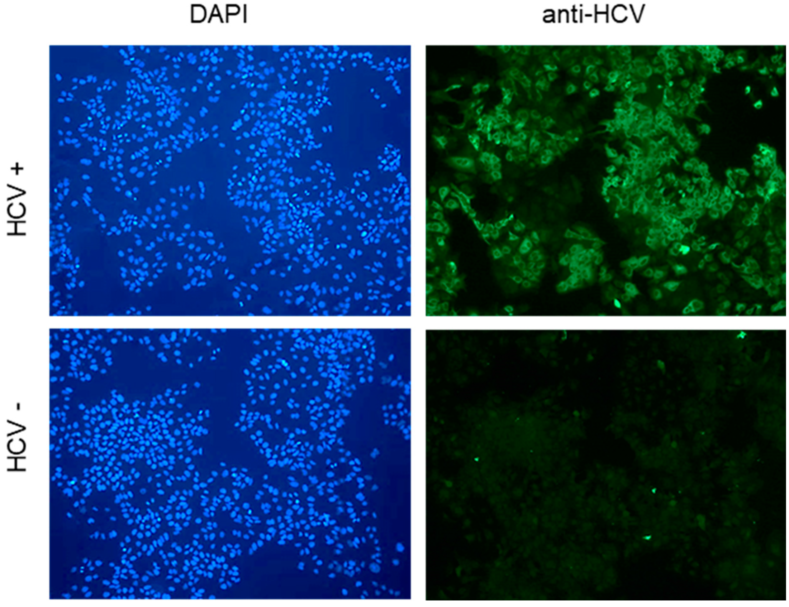 Viruses 17 00011 g001 Viruses 17 00011 g001