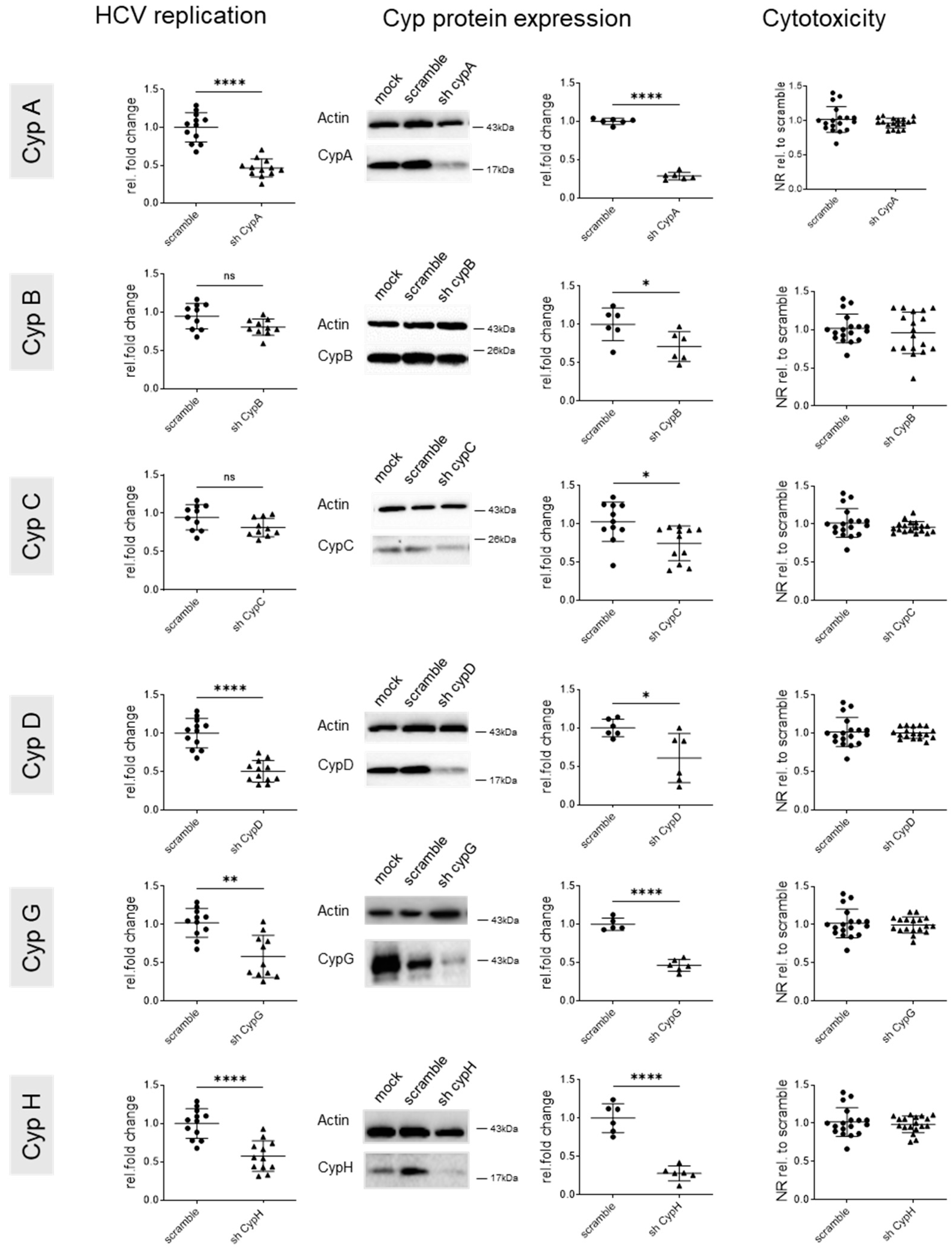 Viruses 17 00011 g003 Viruses 17 00011 g003