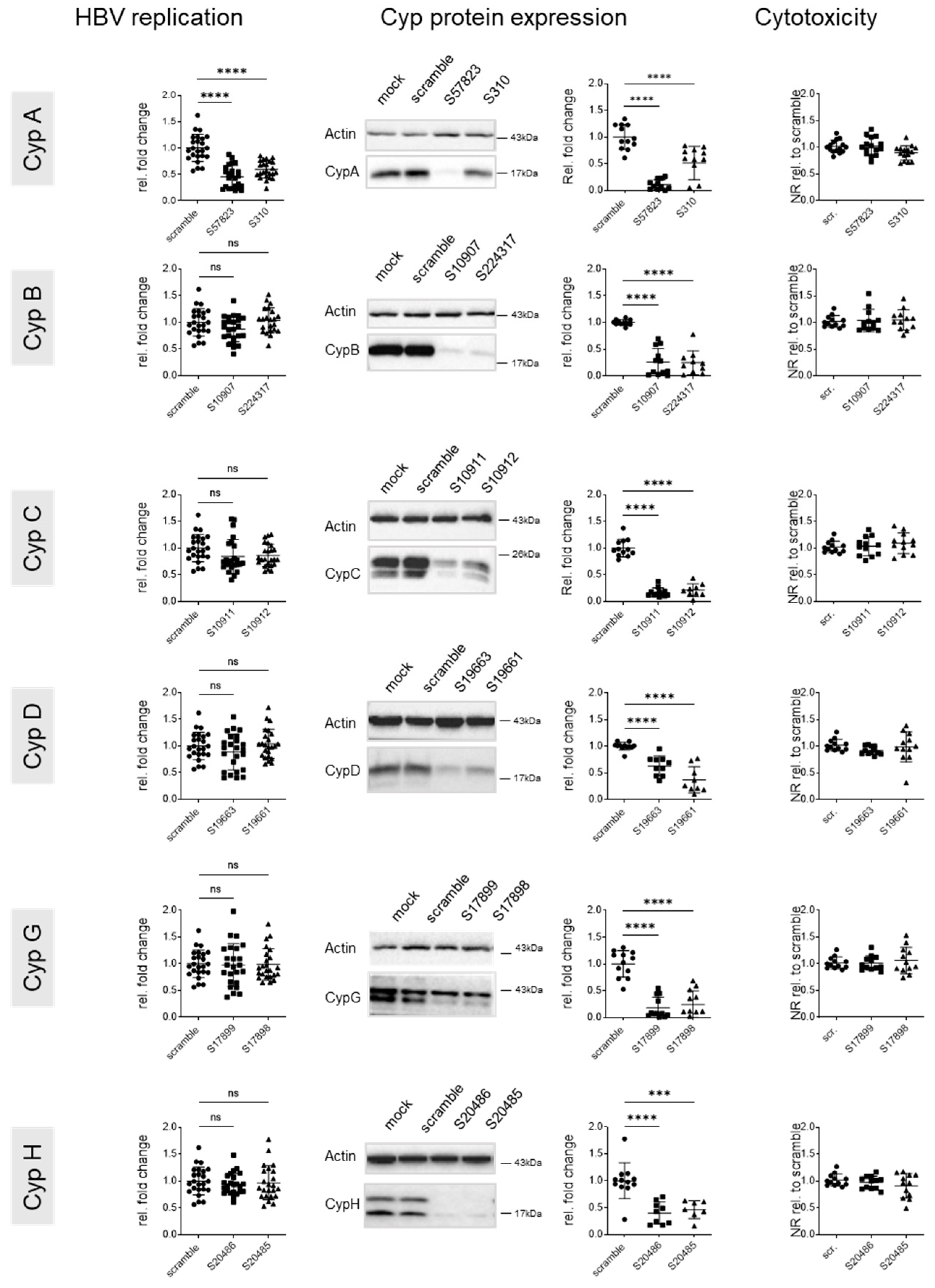 Viruses 17 00011 g004 Viruses 17 00011 g004